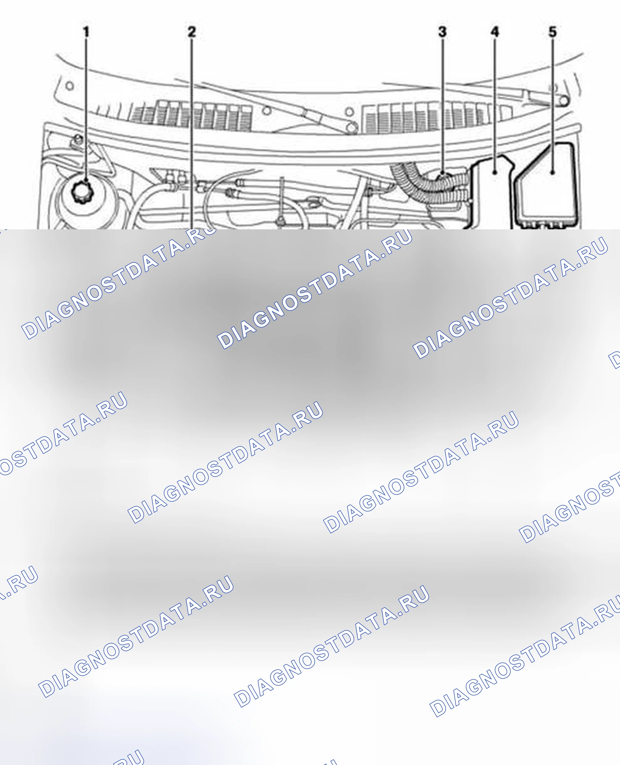 Рис. 2: К1.8 - БЕНЗИНОВЫЙ ДВИГАТЕЛЬ - ВИД ПОД КАПОТОМ. Land Rover Freelander L314