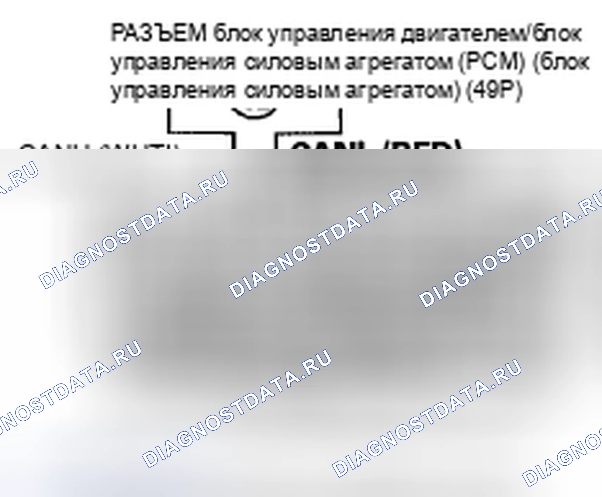 Рис. 851. Honda Accord VIII рестайлинг