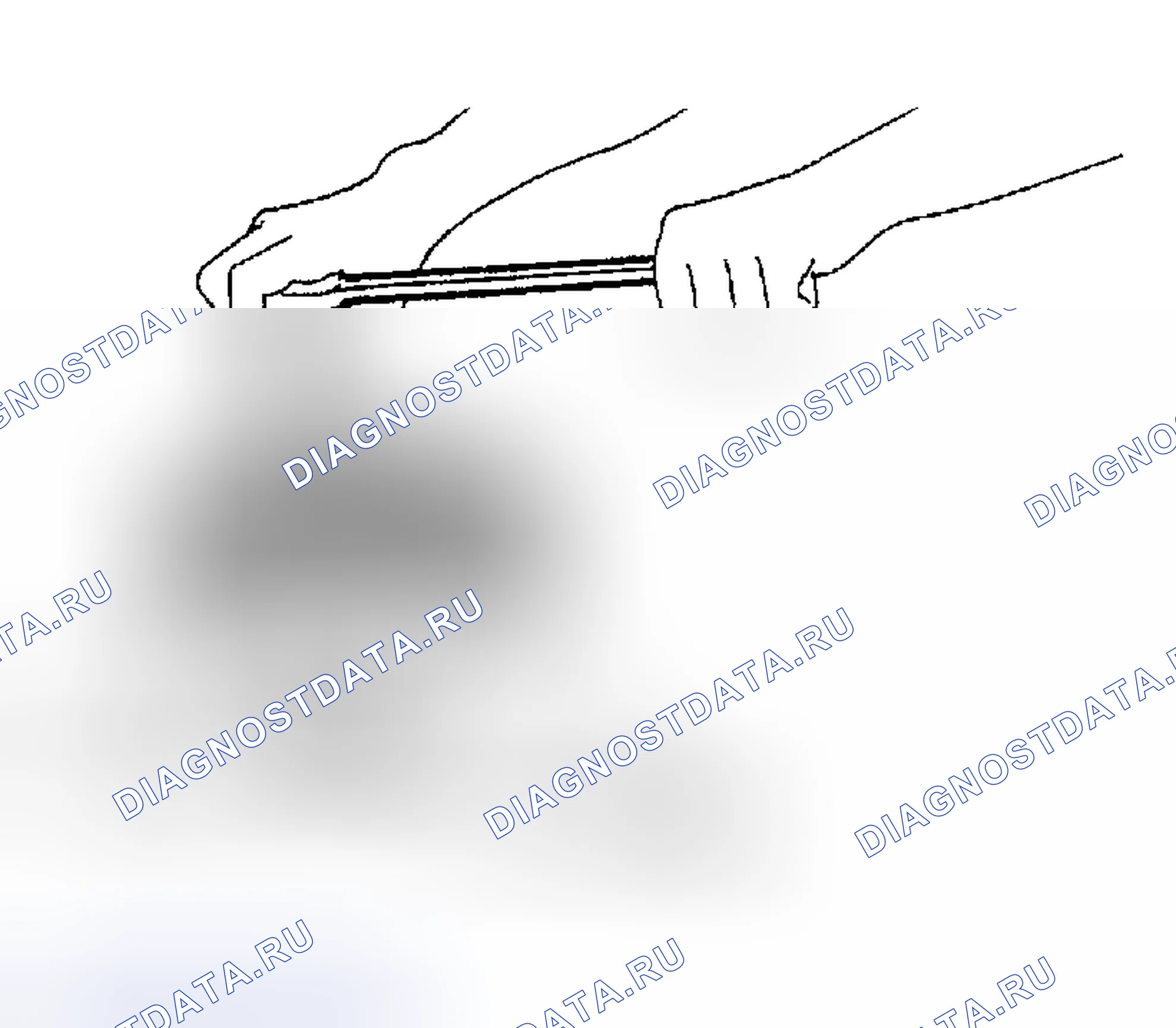 Рис. 318. Nissan Altima L31