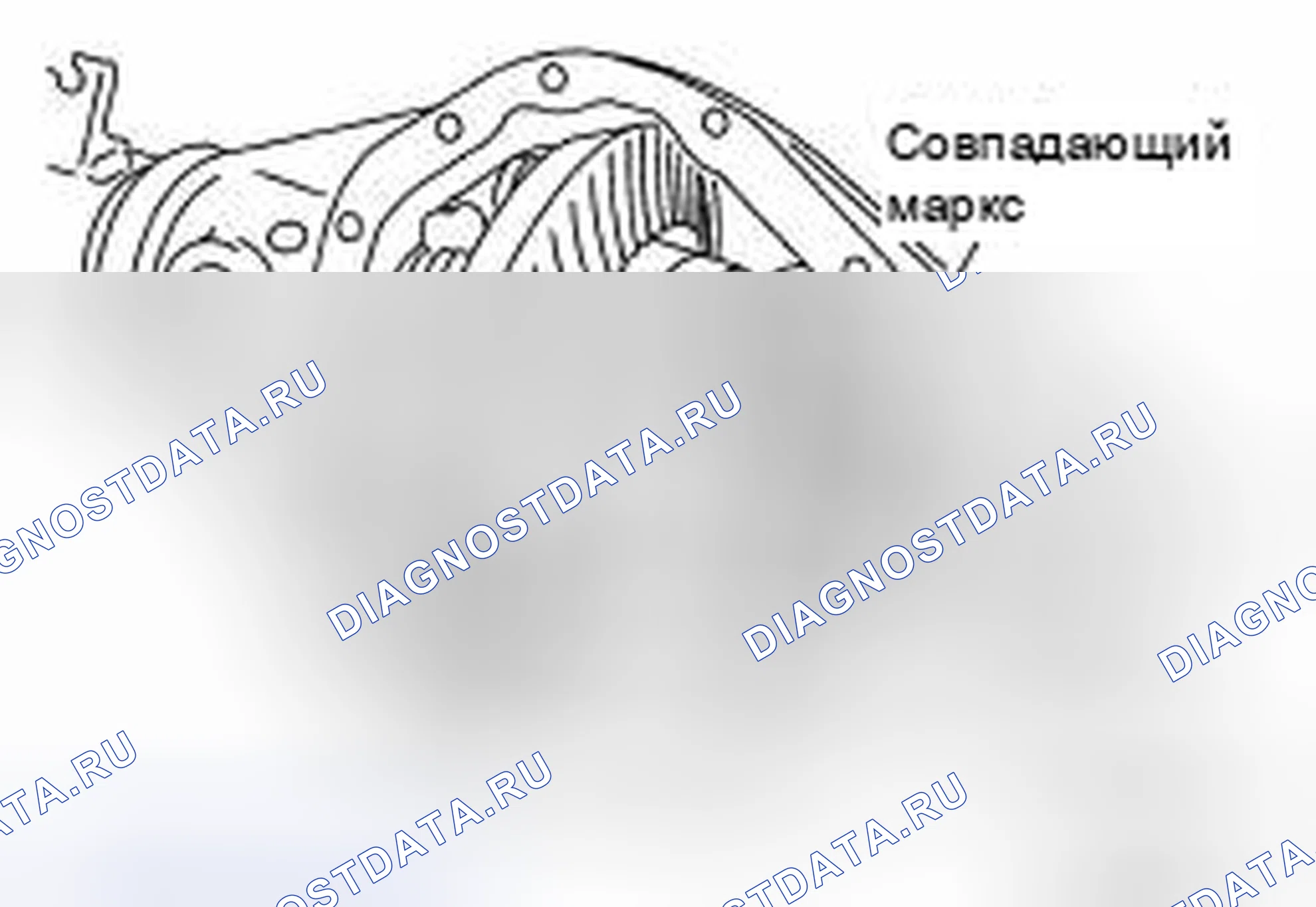 Рис. 256. Honda Torneo I