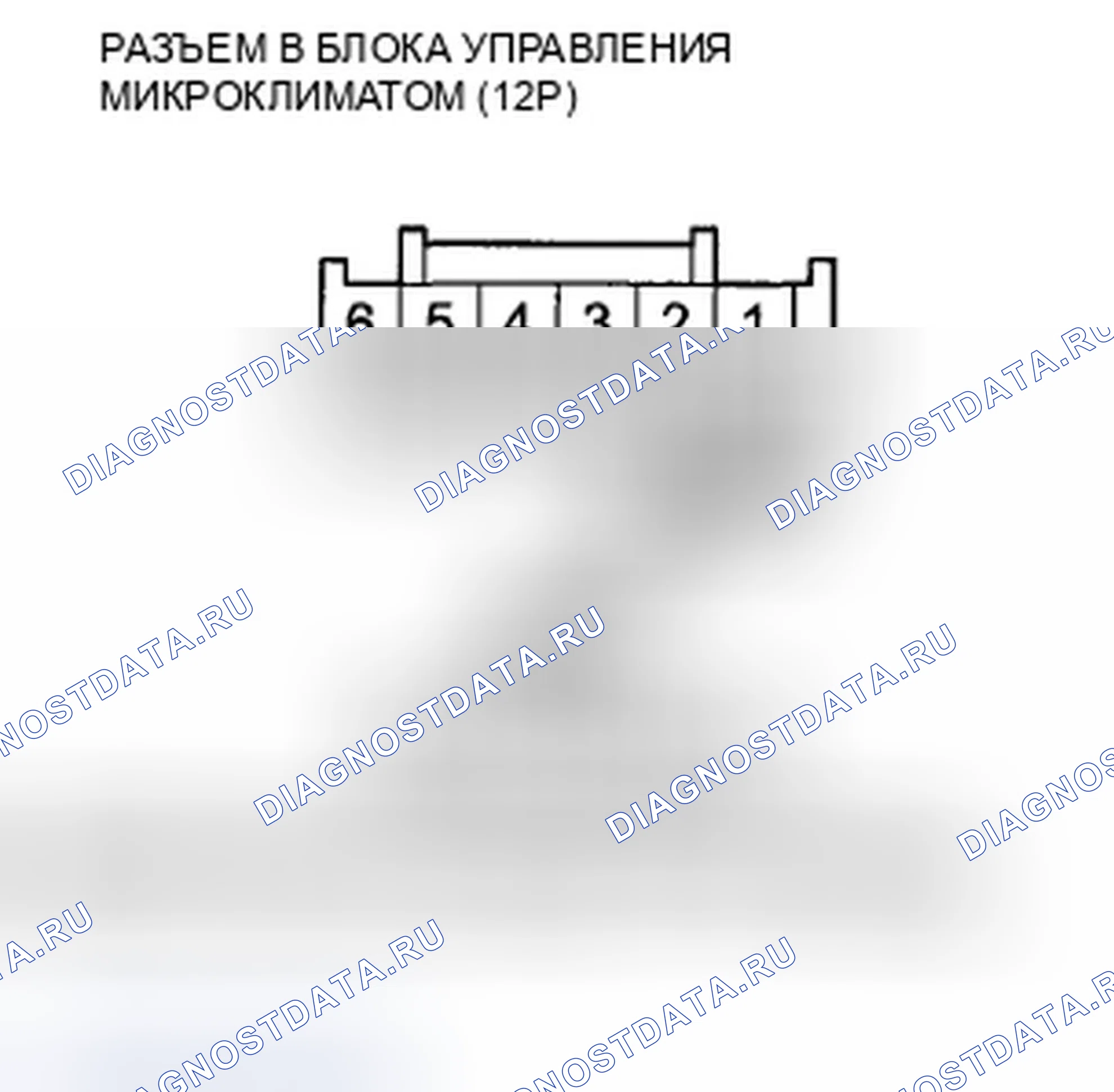 Рис. 435. Honda Crosstour I