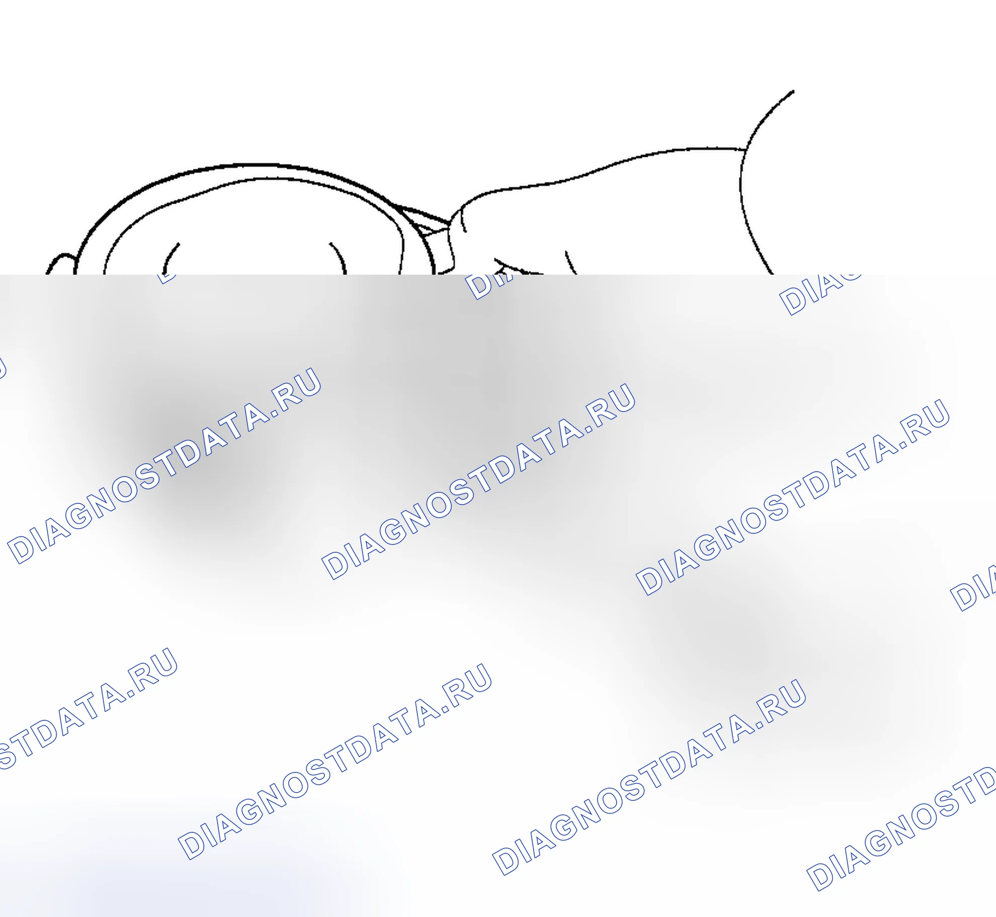 Рис. 162. Hyundai Accent II рестайлинг