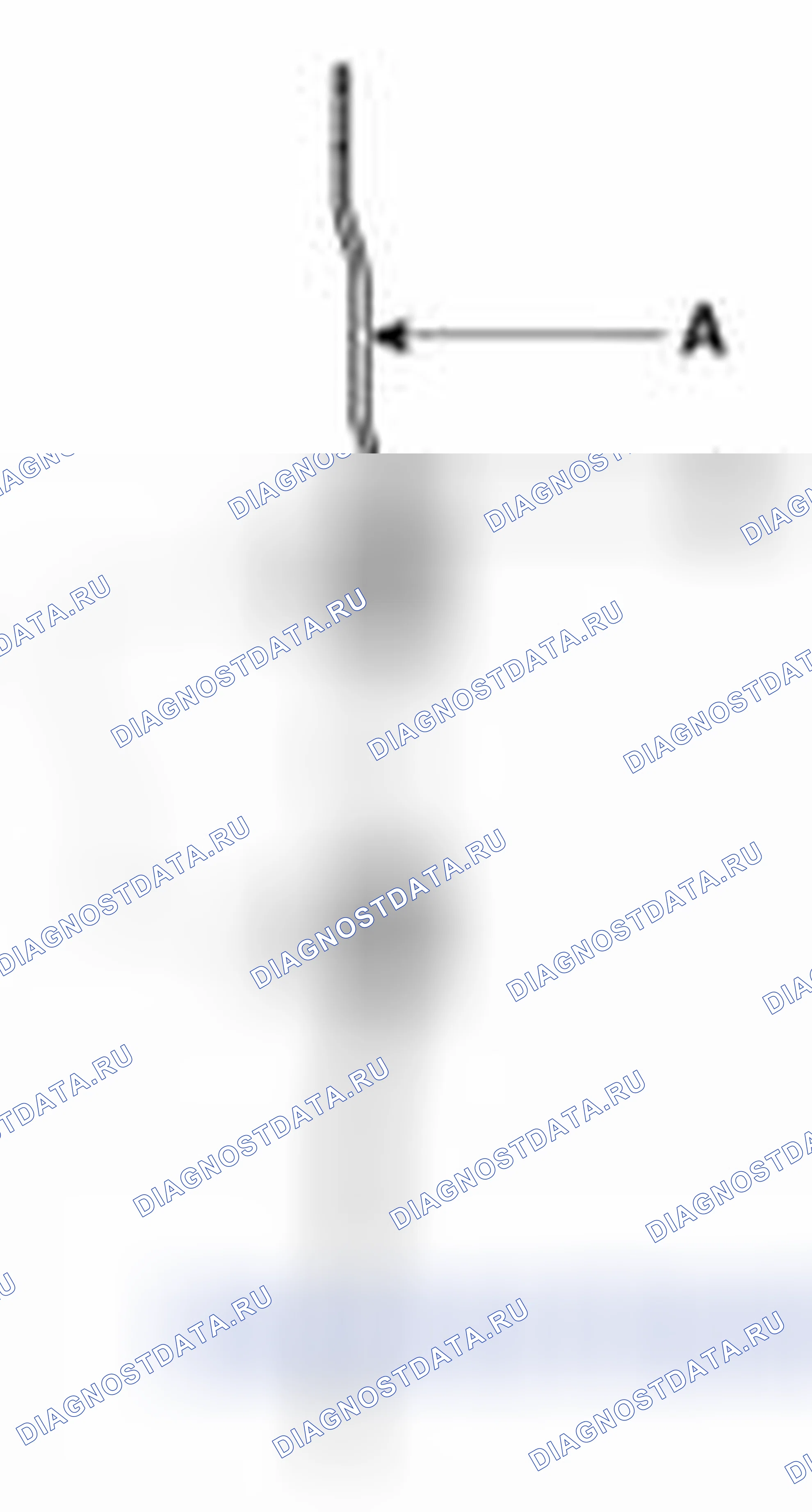 Рис. 580. Haval Beast (Shenshou) I