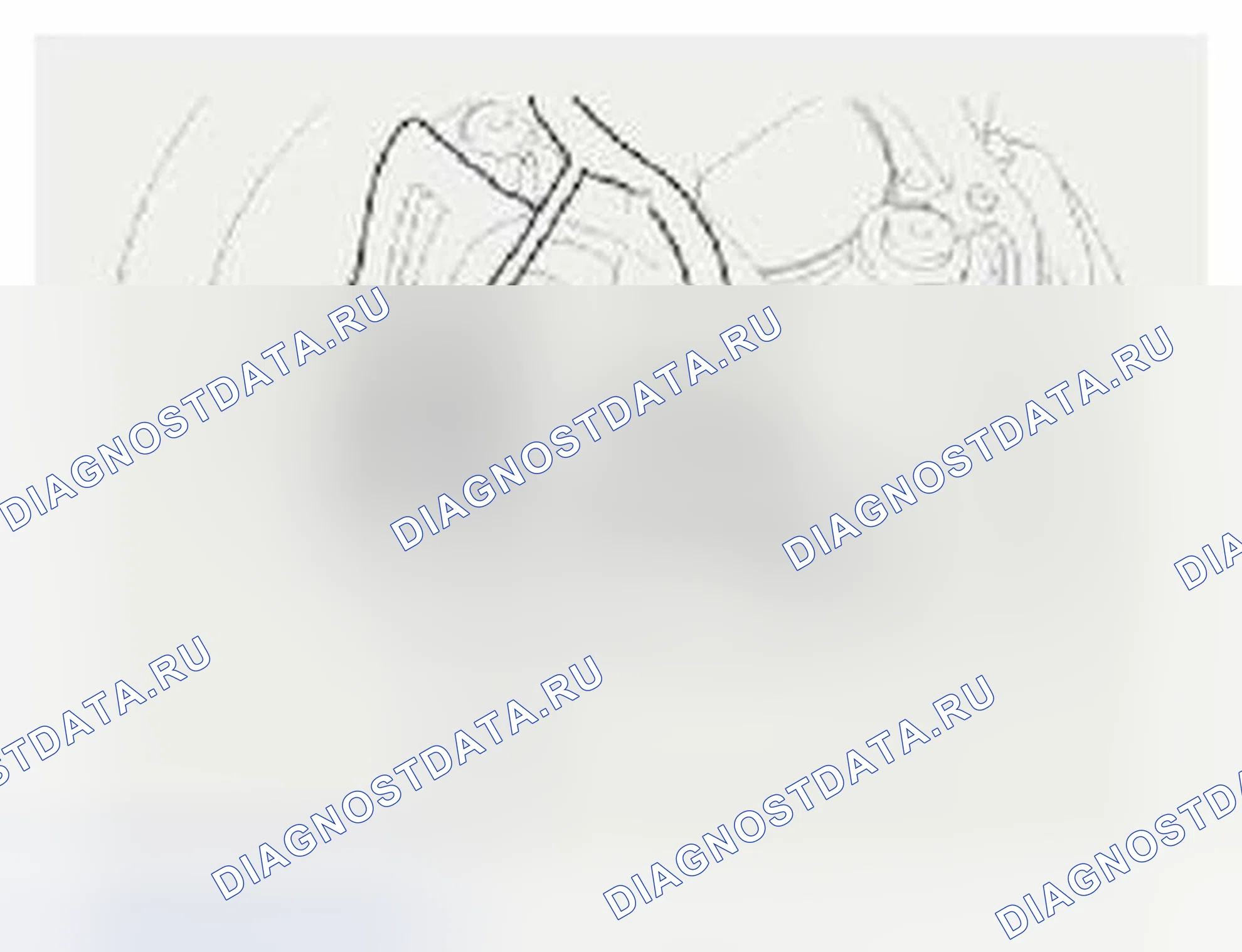 Рис. 7. Hyundai Veloster I