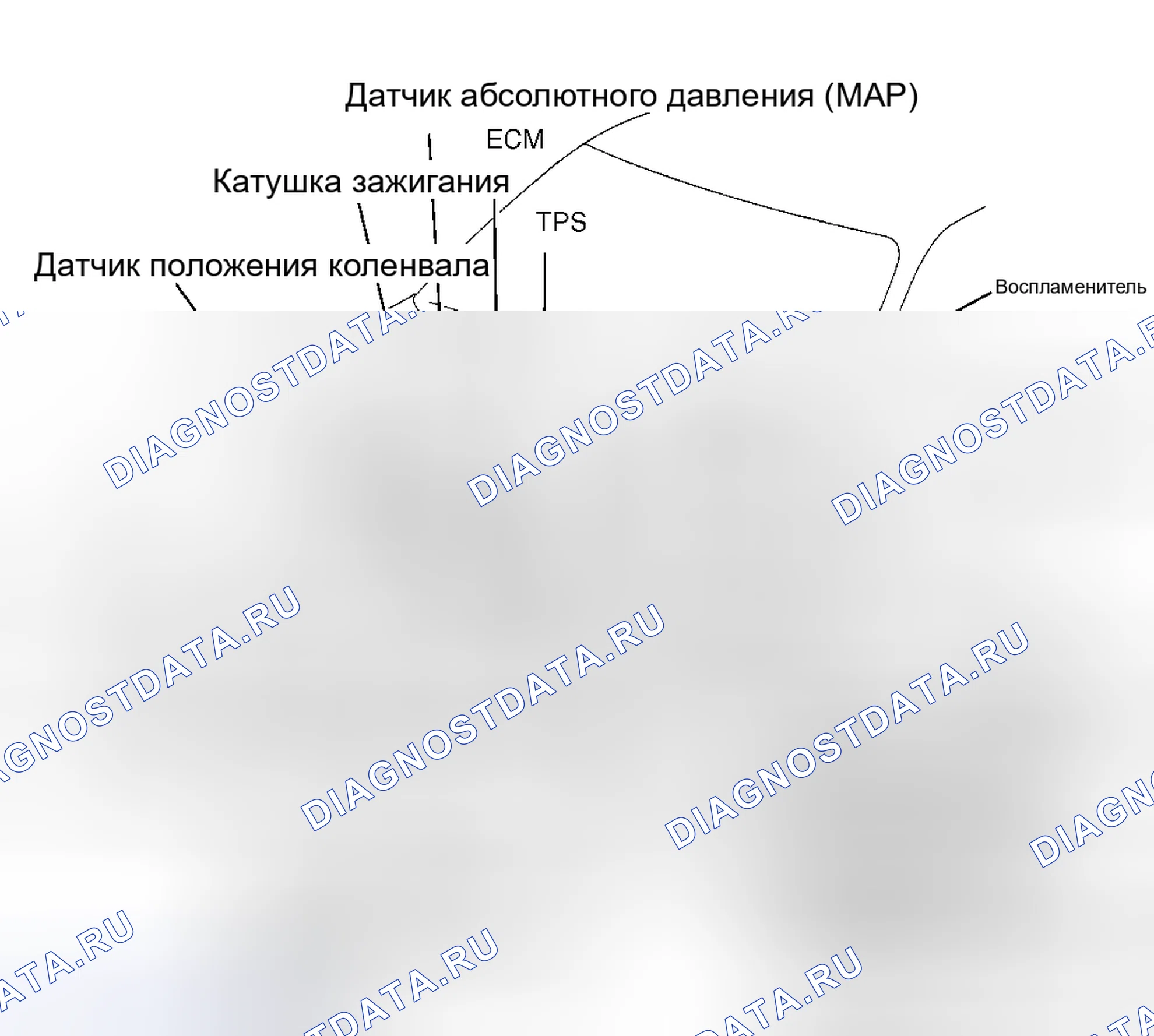 Рис. 34: РАСПОЛОЖЕНИЕ КОМПОНЕНТОВ. Toyota Tercel L50