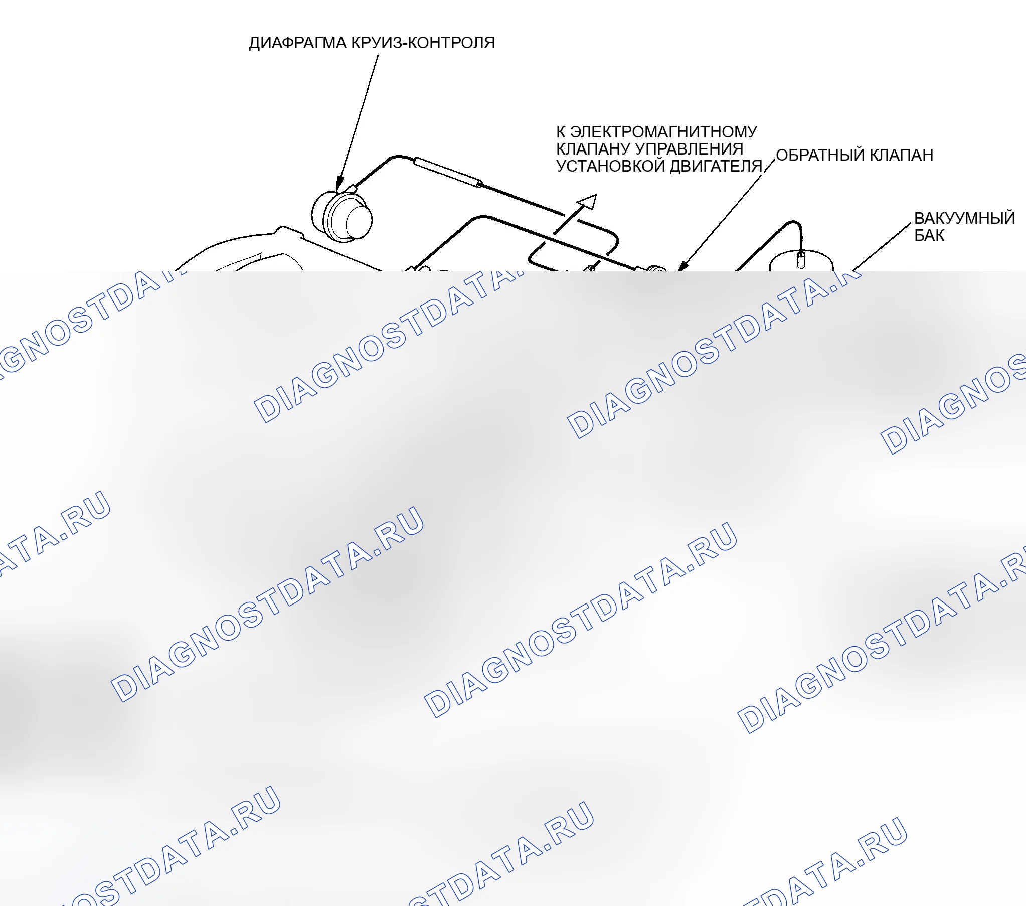 Рис. 193: Трассировка вакуумного шланга. Honda Accord VI