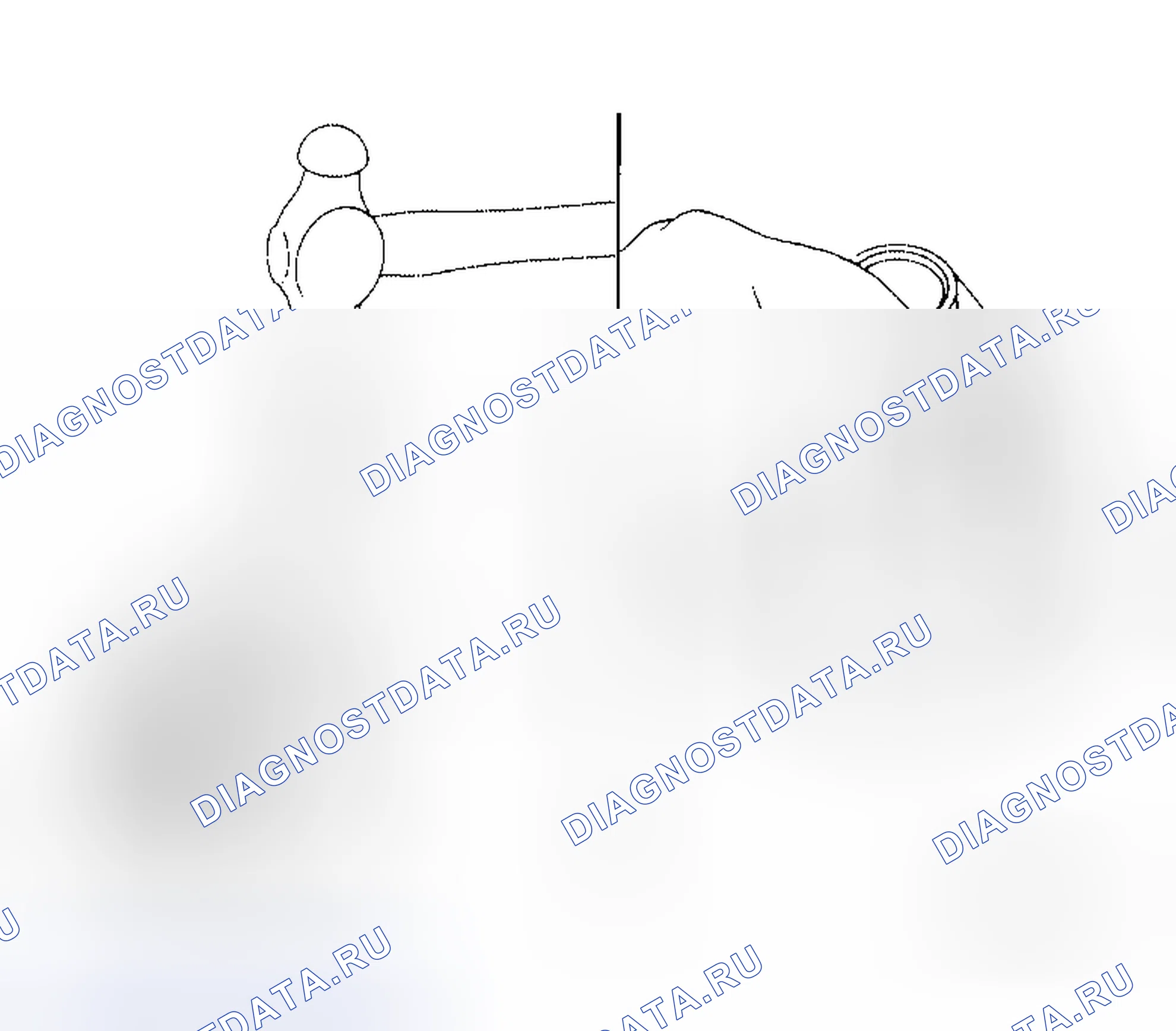 Рис. 193. Honda Jazz I