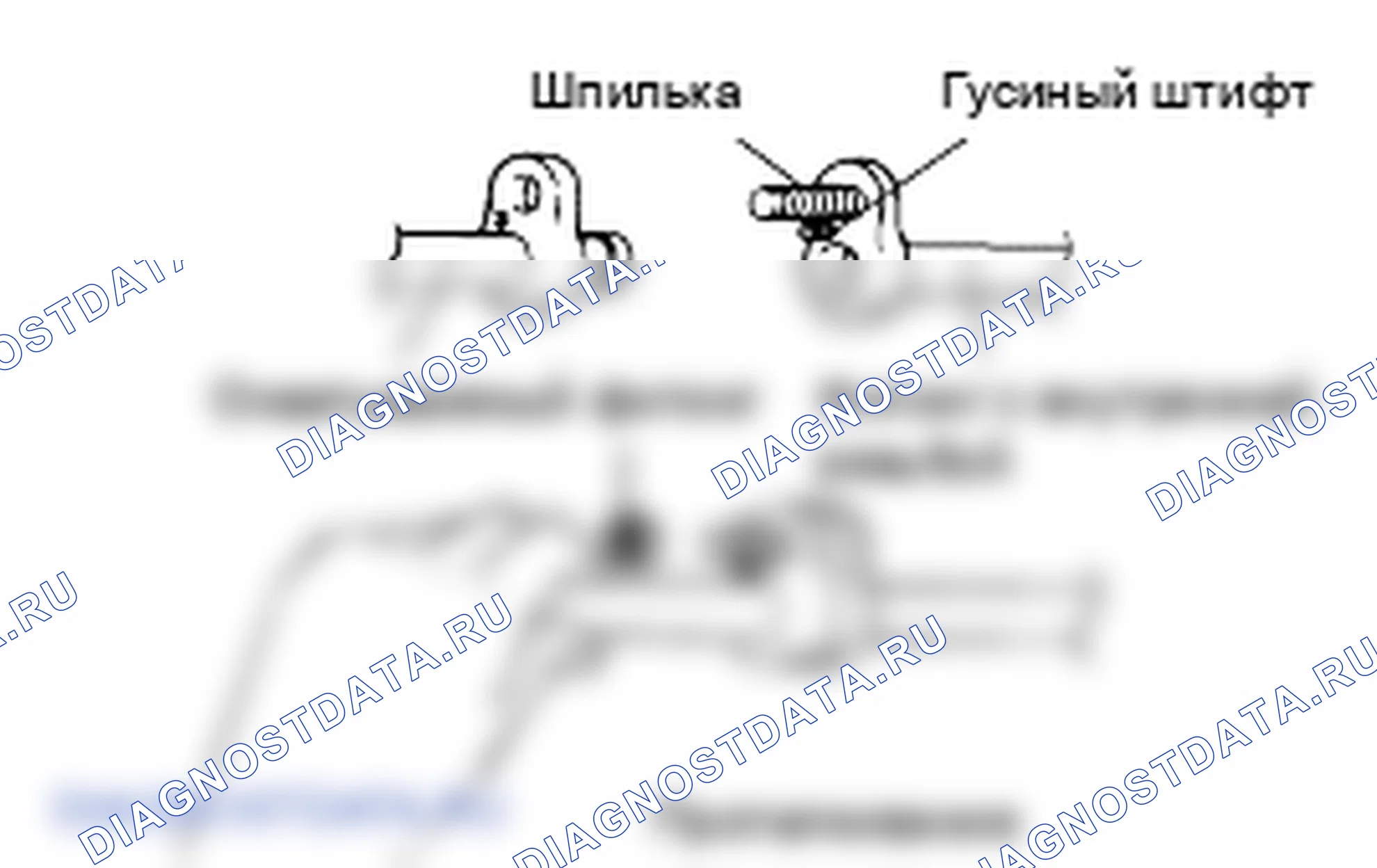 Общая информация. Hyundai Atos MX