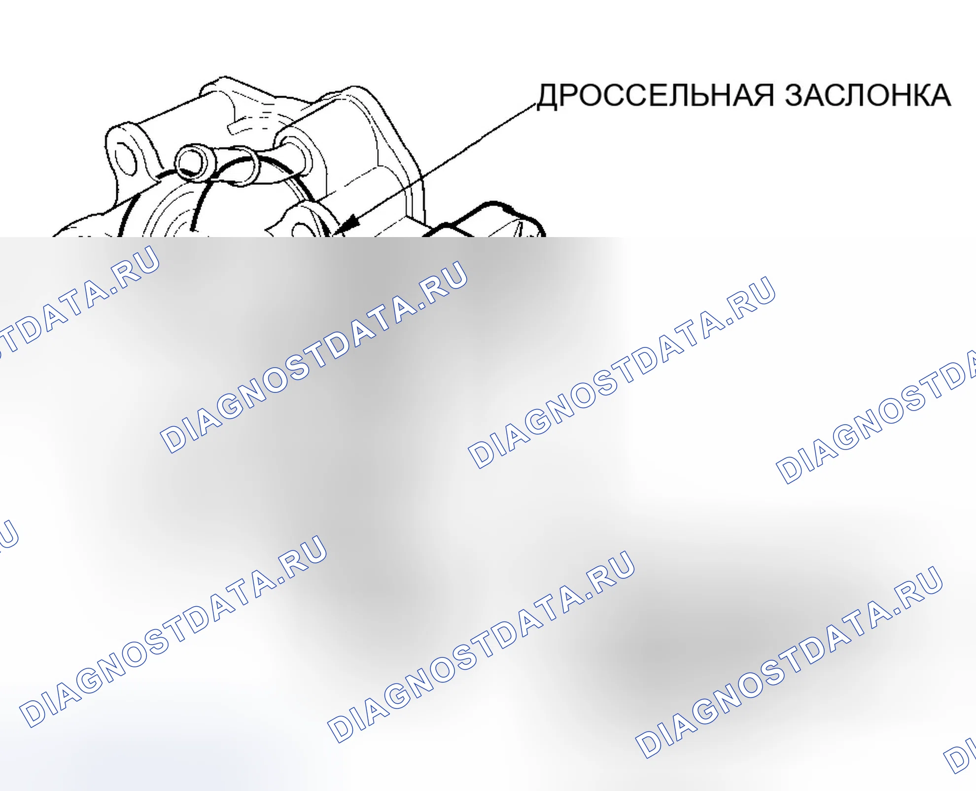 Рис. 43: Корпус дросселя. Honda Accord VII рестайлинг