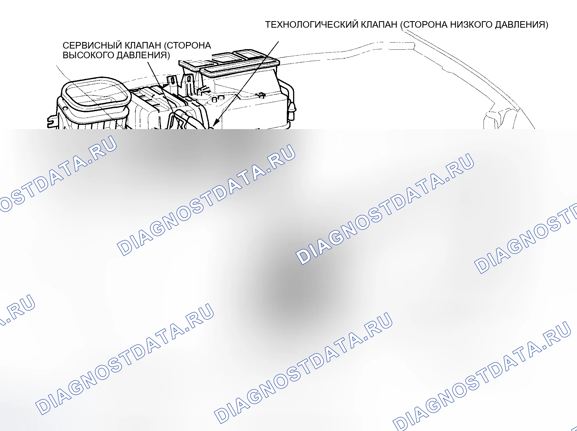 Рис. 2: Указатель расположения компонентов. Honda Insight I