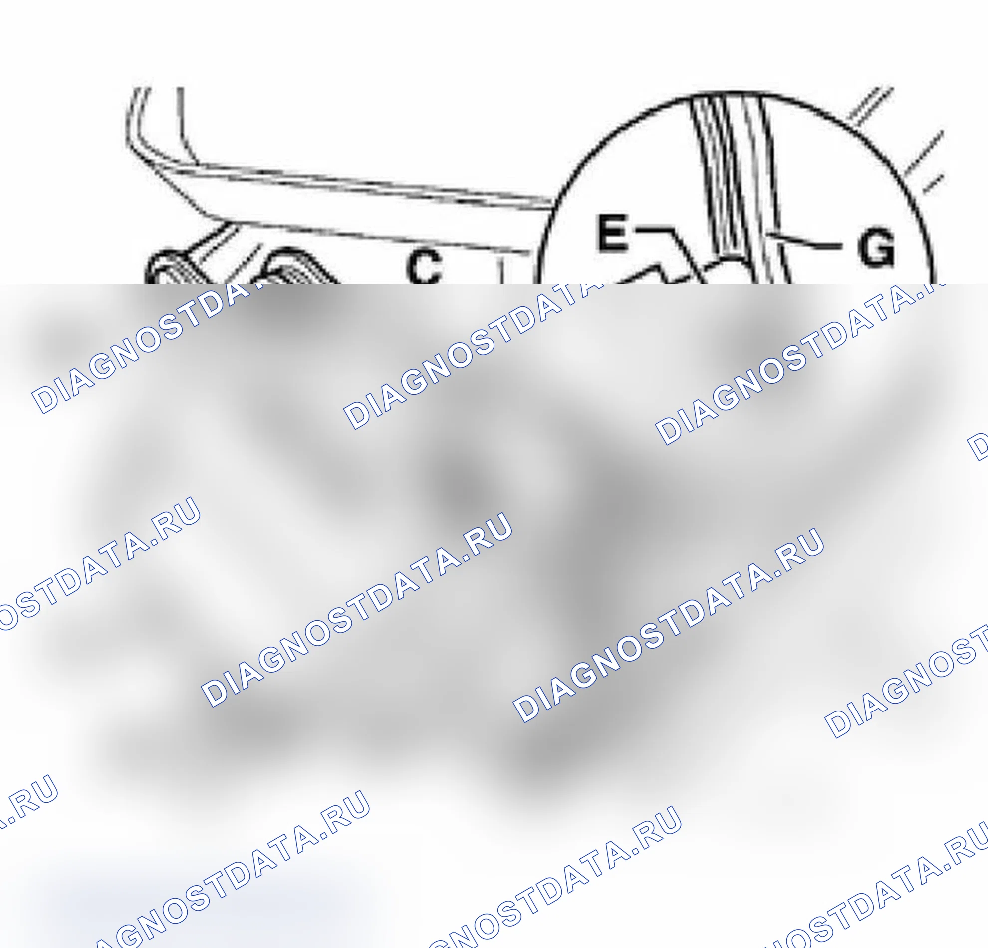 Рис. 53. Audi A6 C5 рестайлинг
