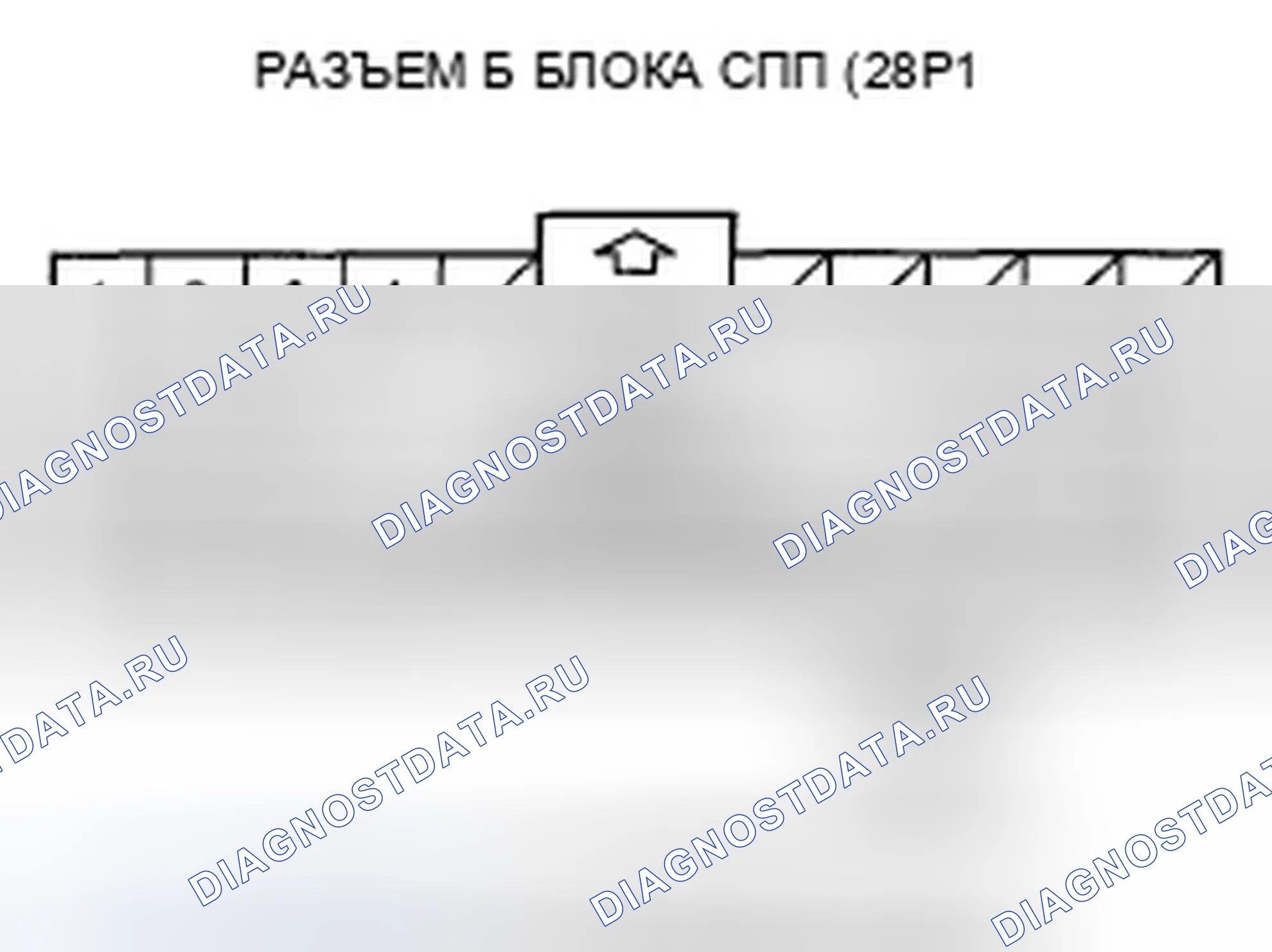 Рис. 484. Honda Accord VII рестайлинг
