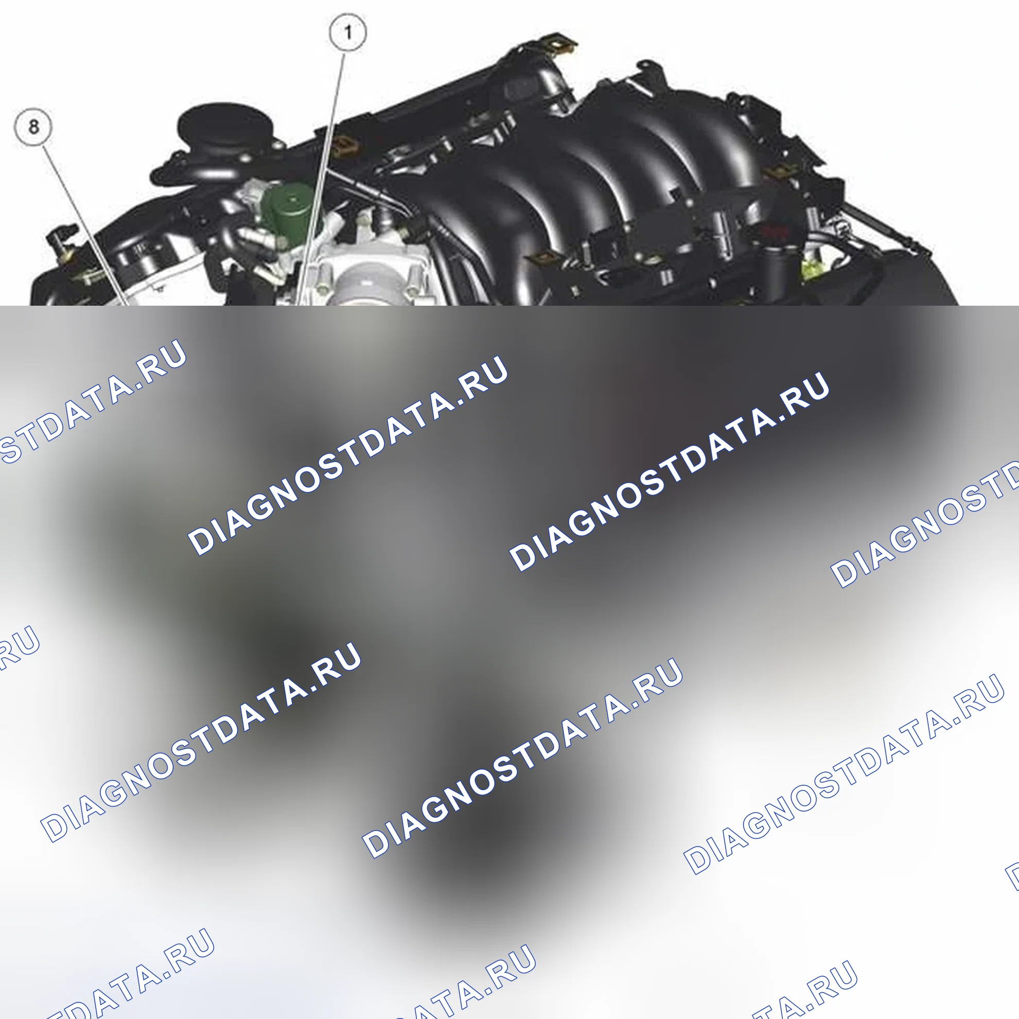 Рис. 1: РАСПОЛОЖЕНИЕ КОМПОНЕНТОВ. Jaguar XKR II