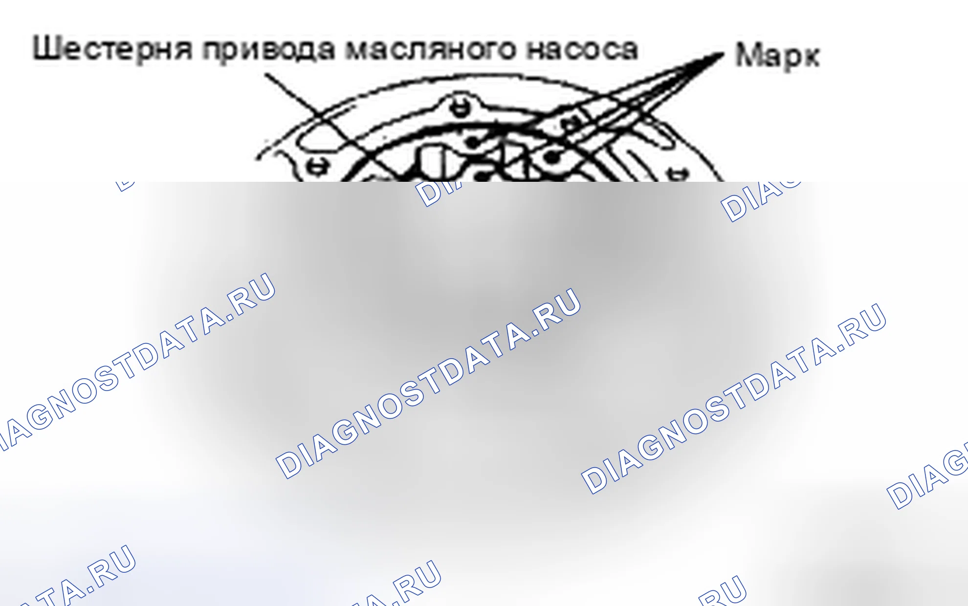 Рис. 419. Toyota Camry XV40