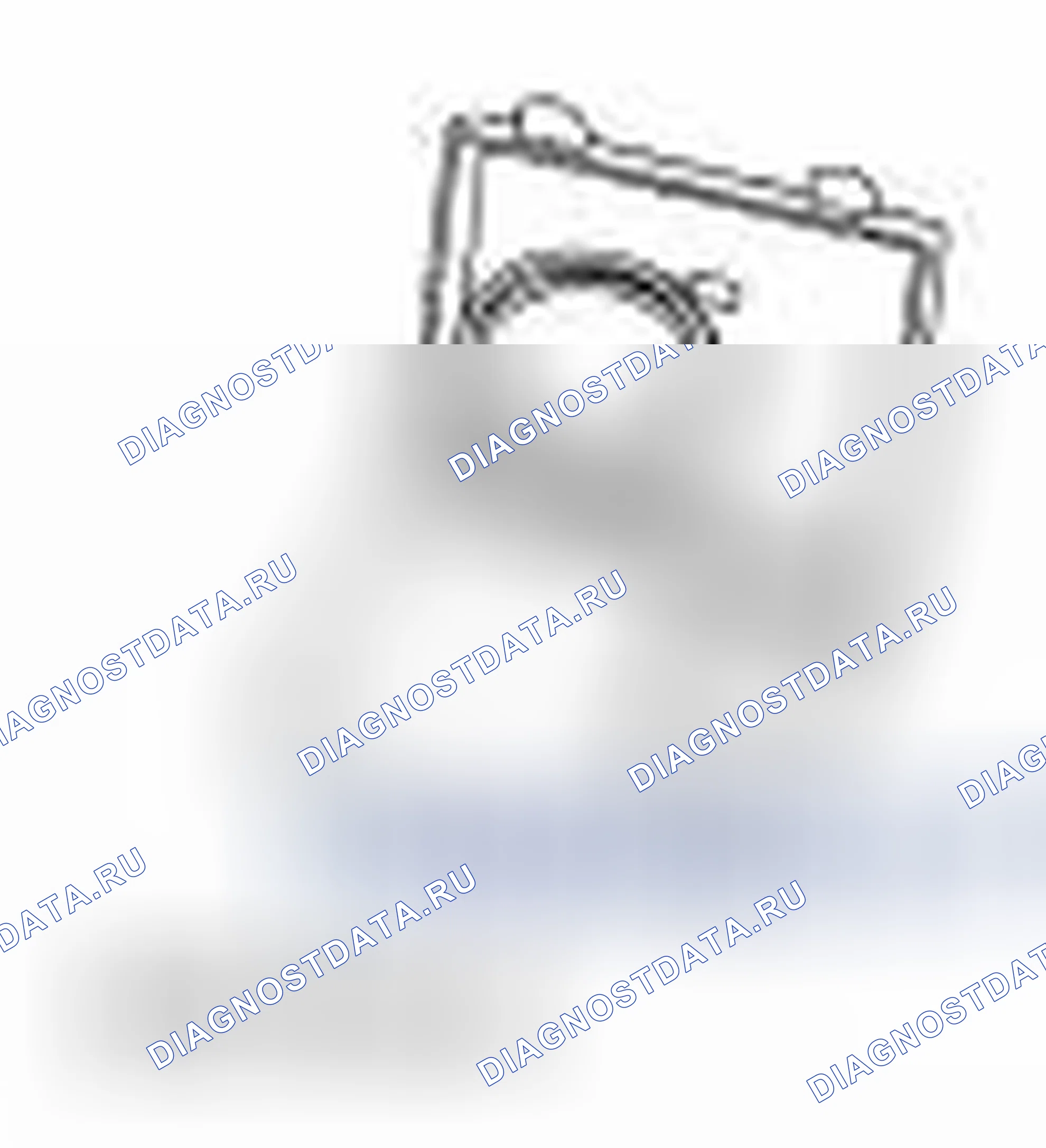Рис. 295. Ford Freestyle I