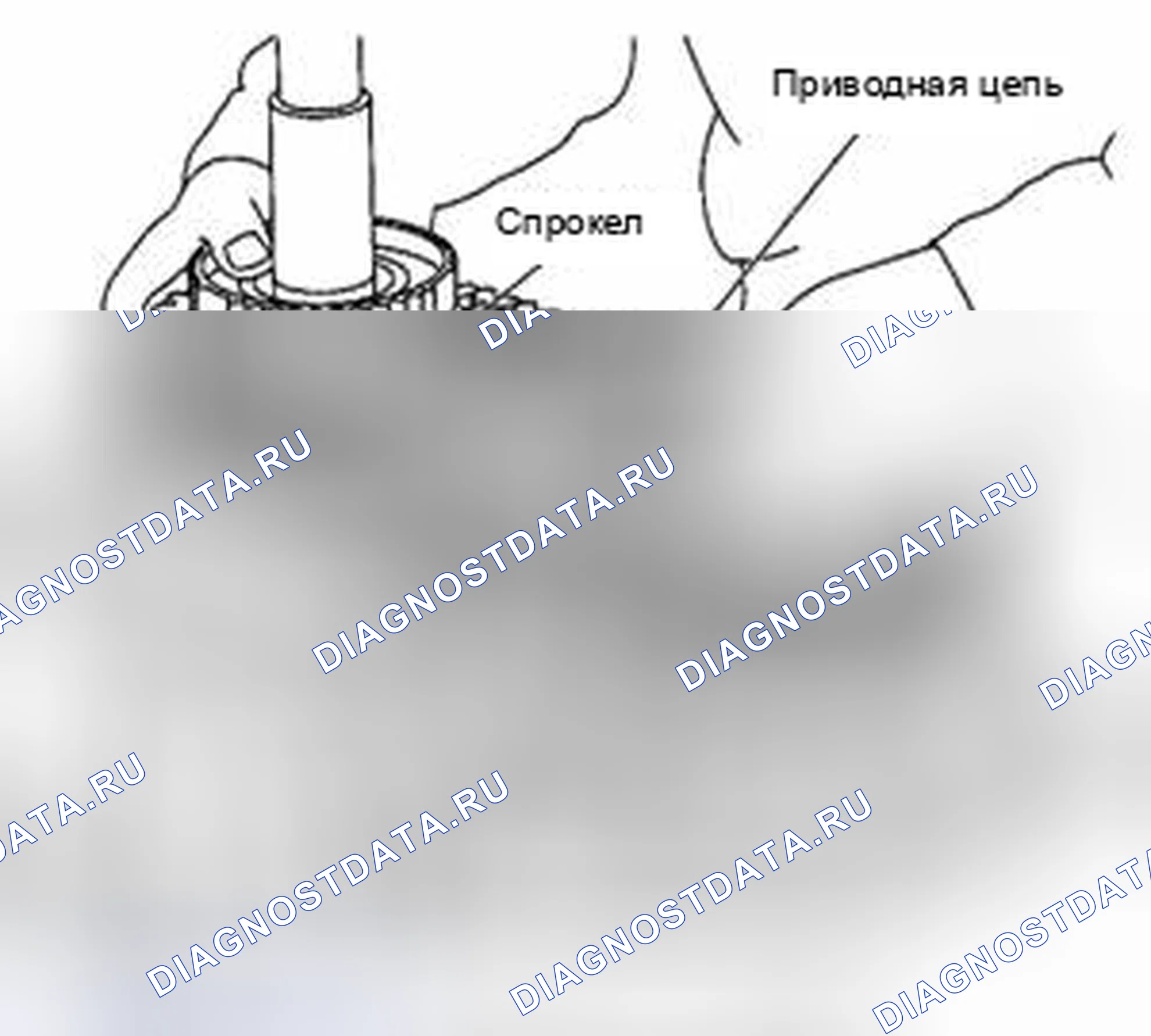Рис. 205. Suzuki Equator I
