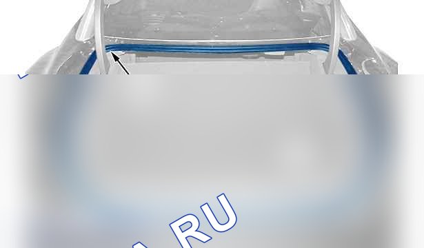 Снятие - установка: уплотнители проема двери — c4cg081d. Peugeot RCZ I