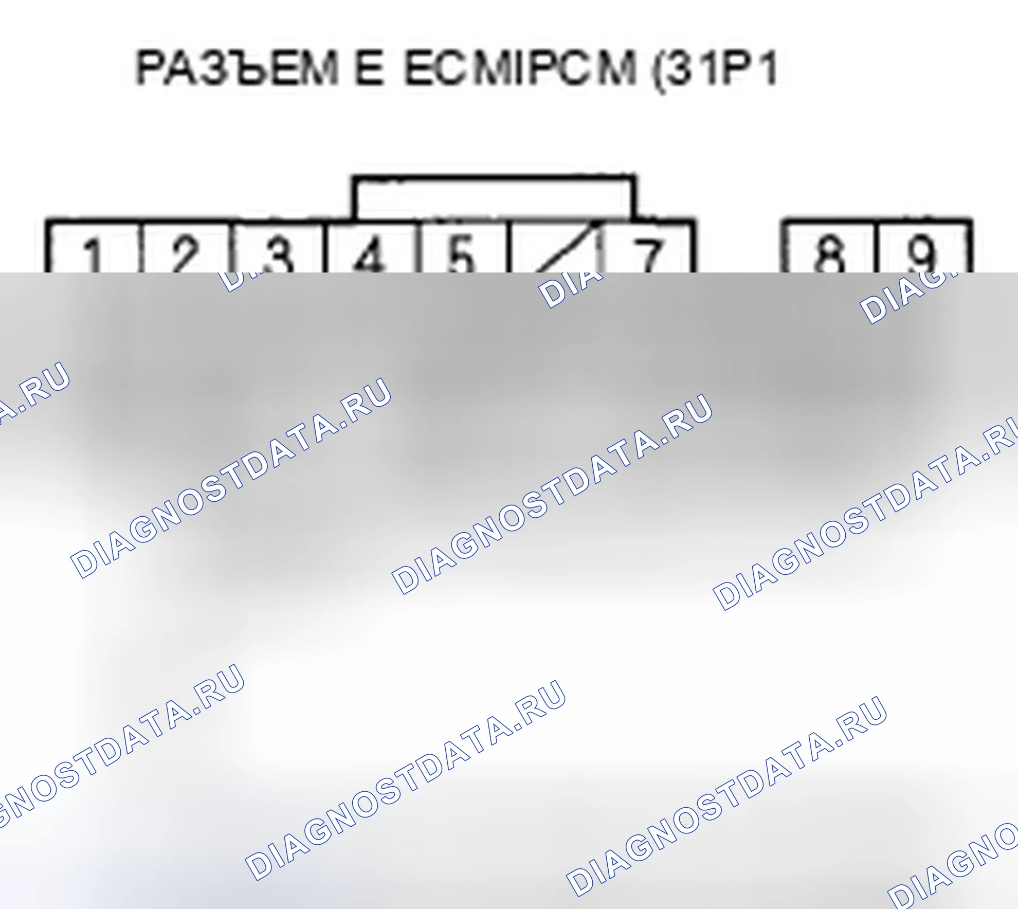 Рис. 514. Honda Element YH2 рестайлинг 2