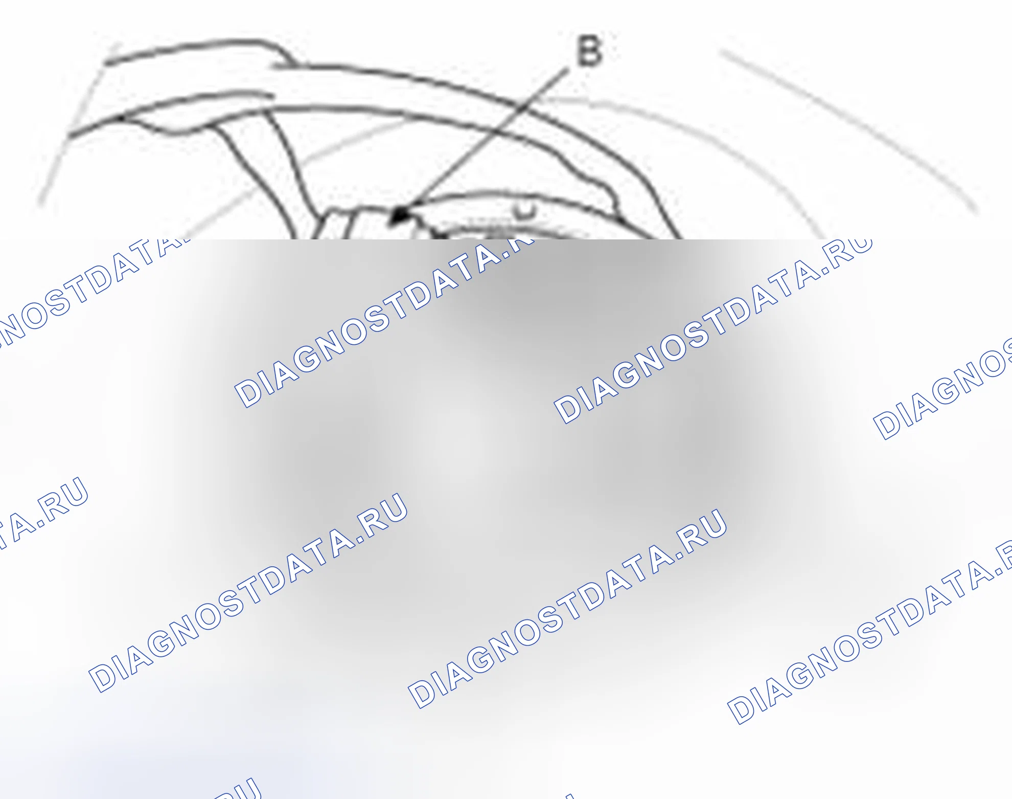 Рис. 24. Kia Forte I