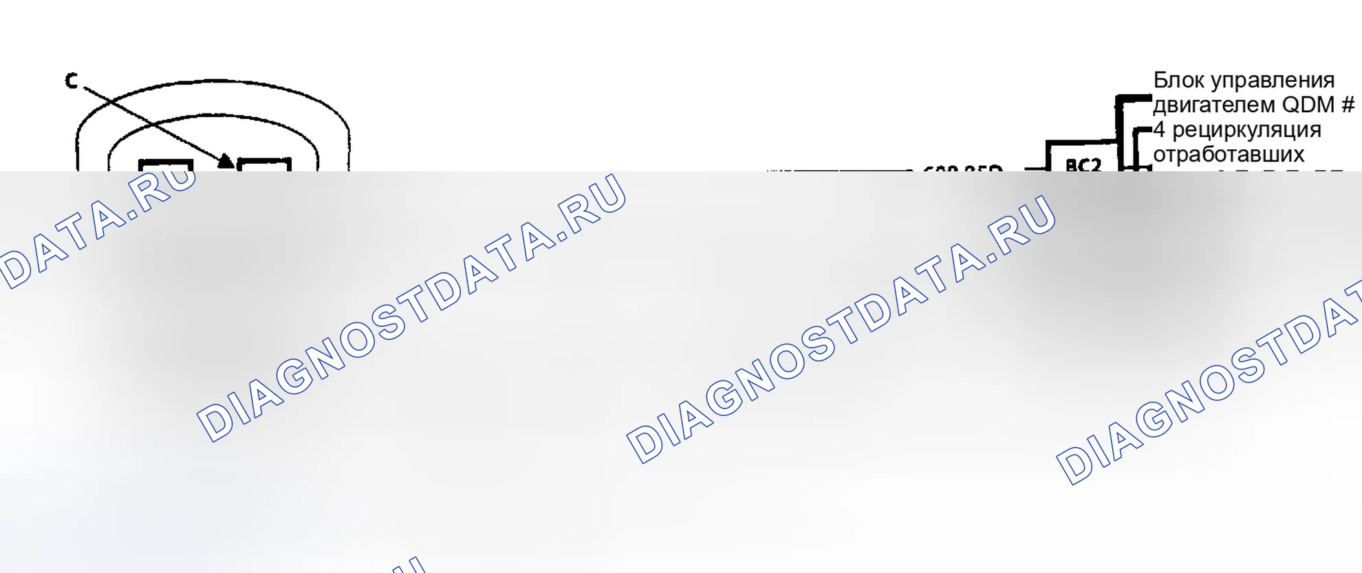 Рис. 283: Схема С7. Рециркуляция отработавших газов (3.8L). Buick Electra Park Avenue Ultra transition