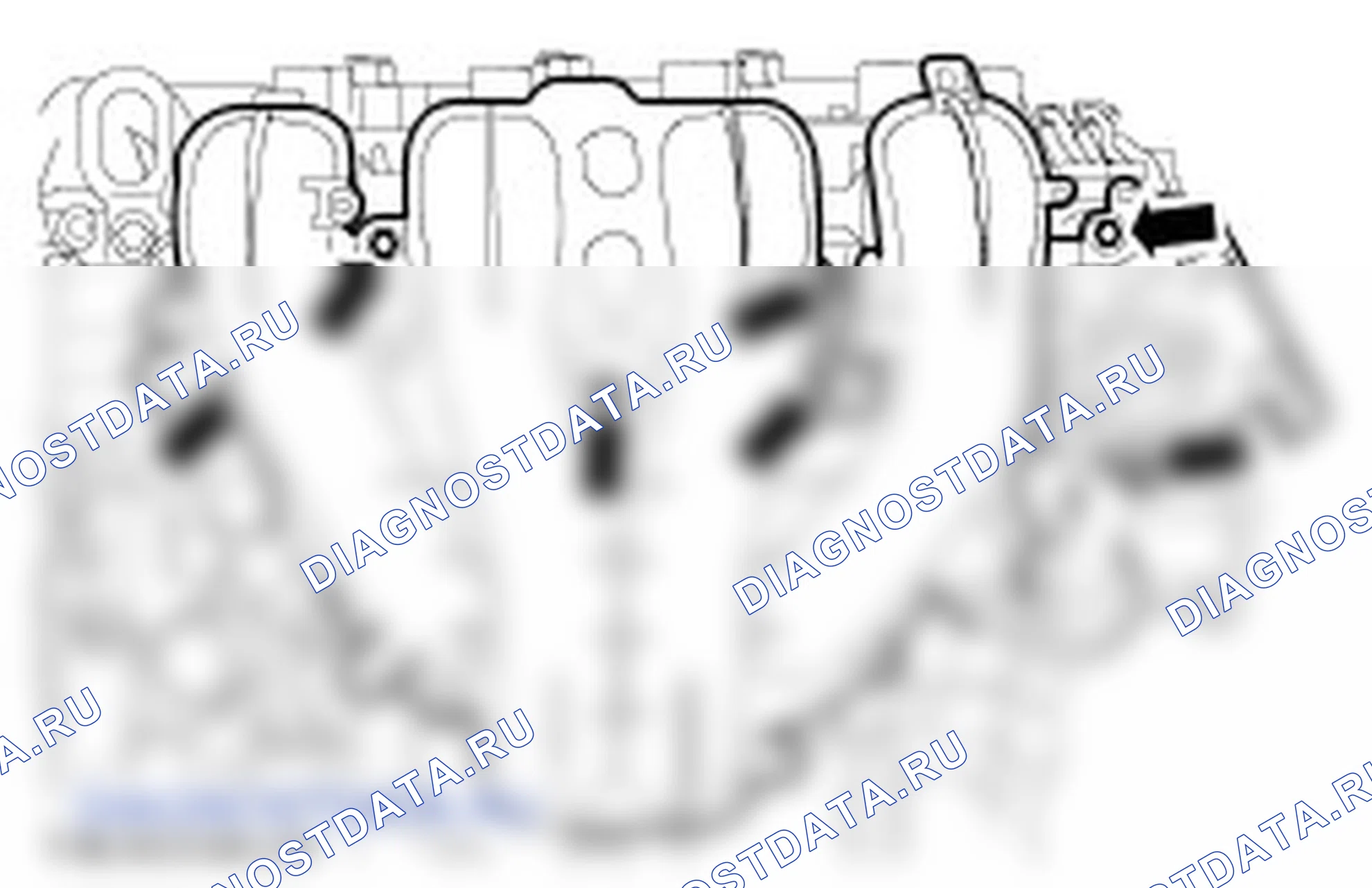 Разборка двигателя. Ford C-MAX I рестайлинг