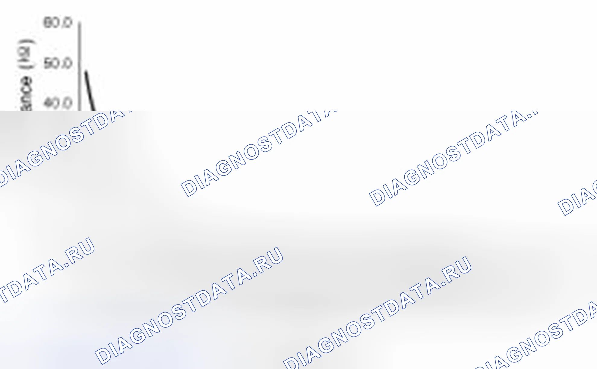 Рис. 130. Haval Beast (Shenshou) I