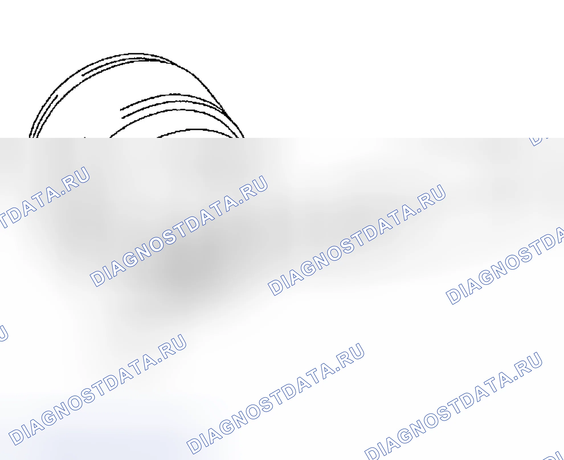 Рис. 24. Haval Menglong I