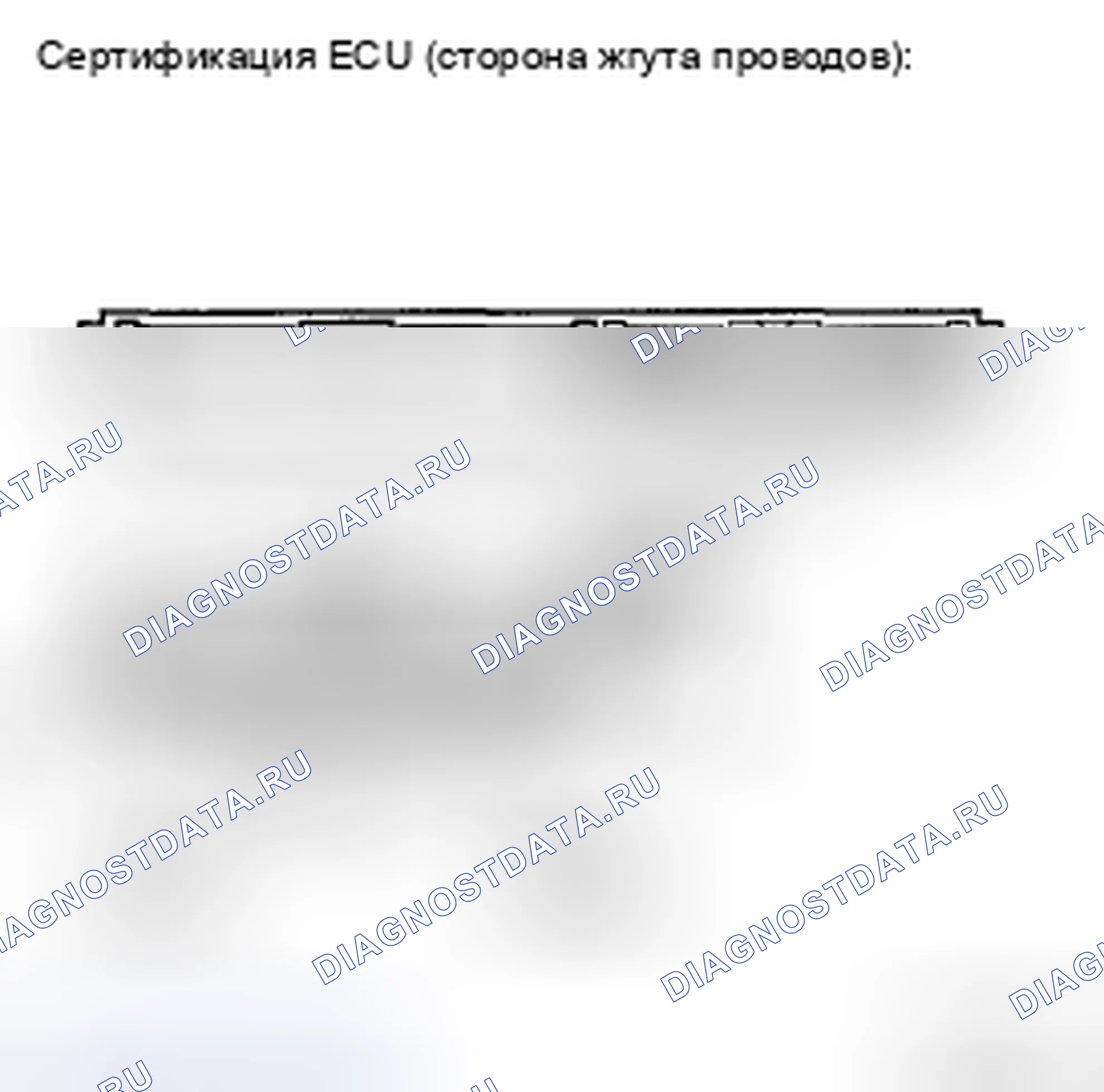 Рис. 211. Toyota Camry XV40