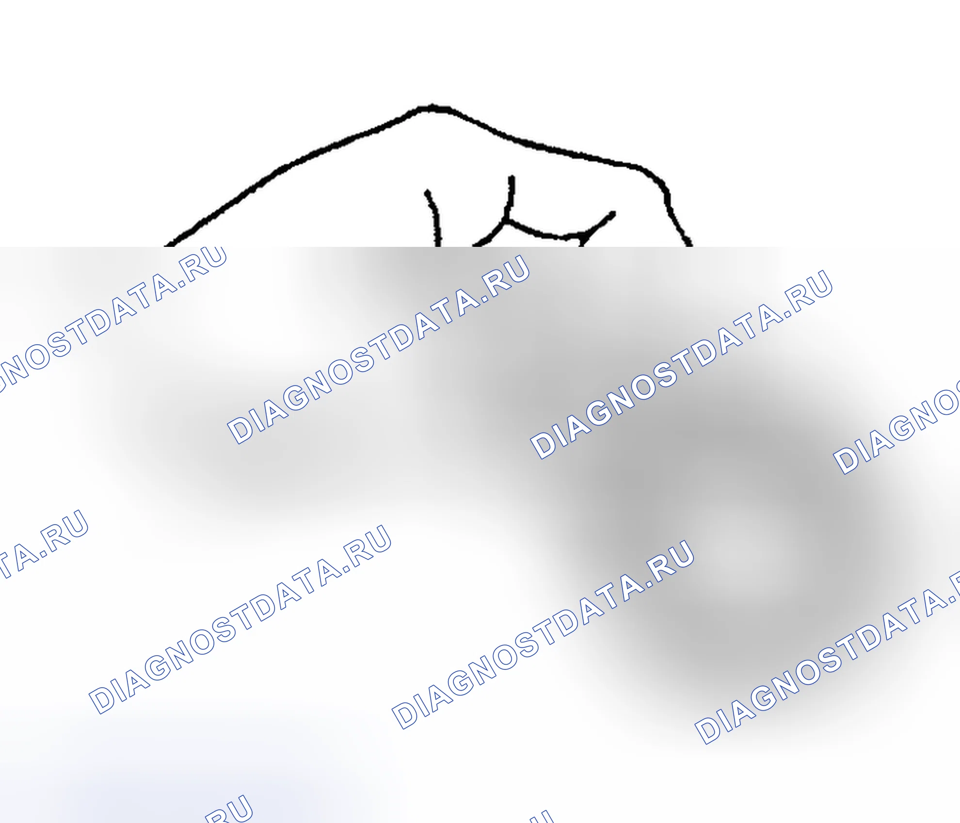 Рис. 214. Hyundai Venue I