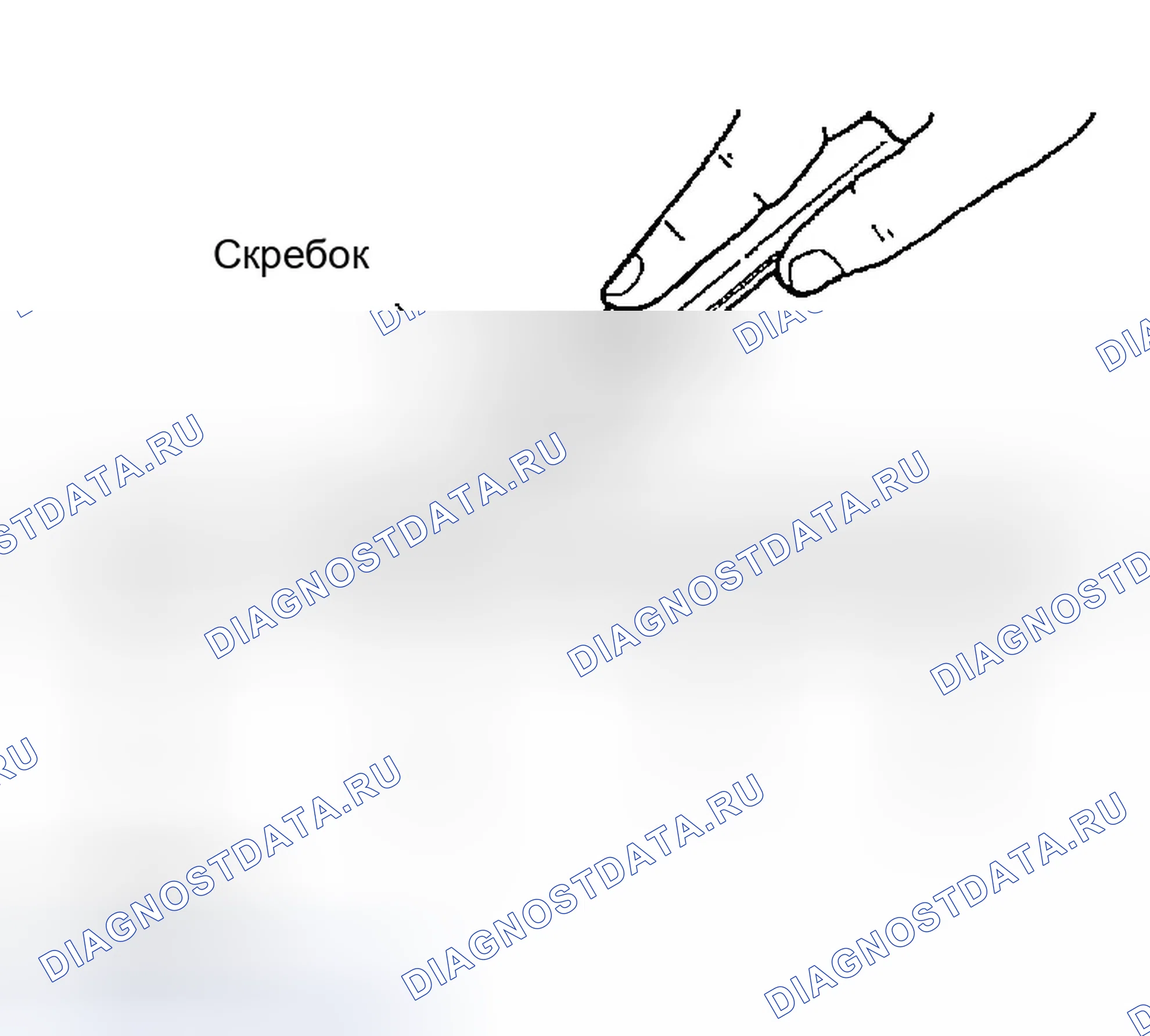 Рис. 2: Процедура применения жидкостной прокладки. Infiniti FX45 I