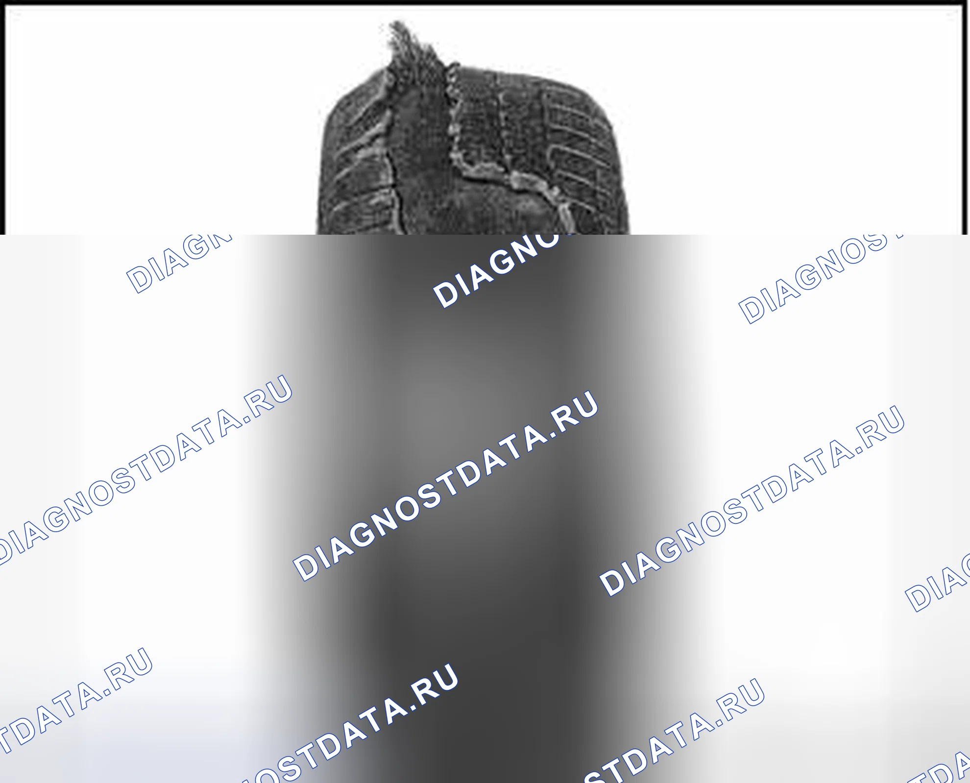 Рис. 169: Шины с вырванным протектором. Volkswagen Golf Mk7