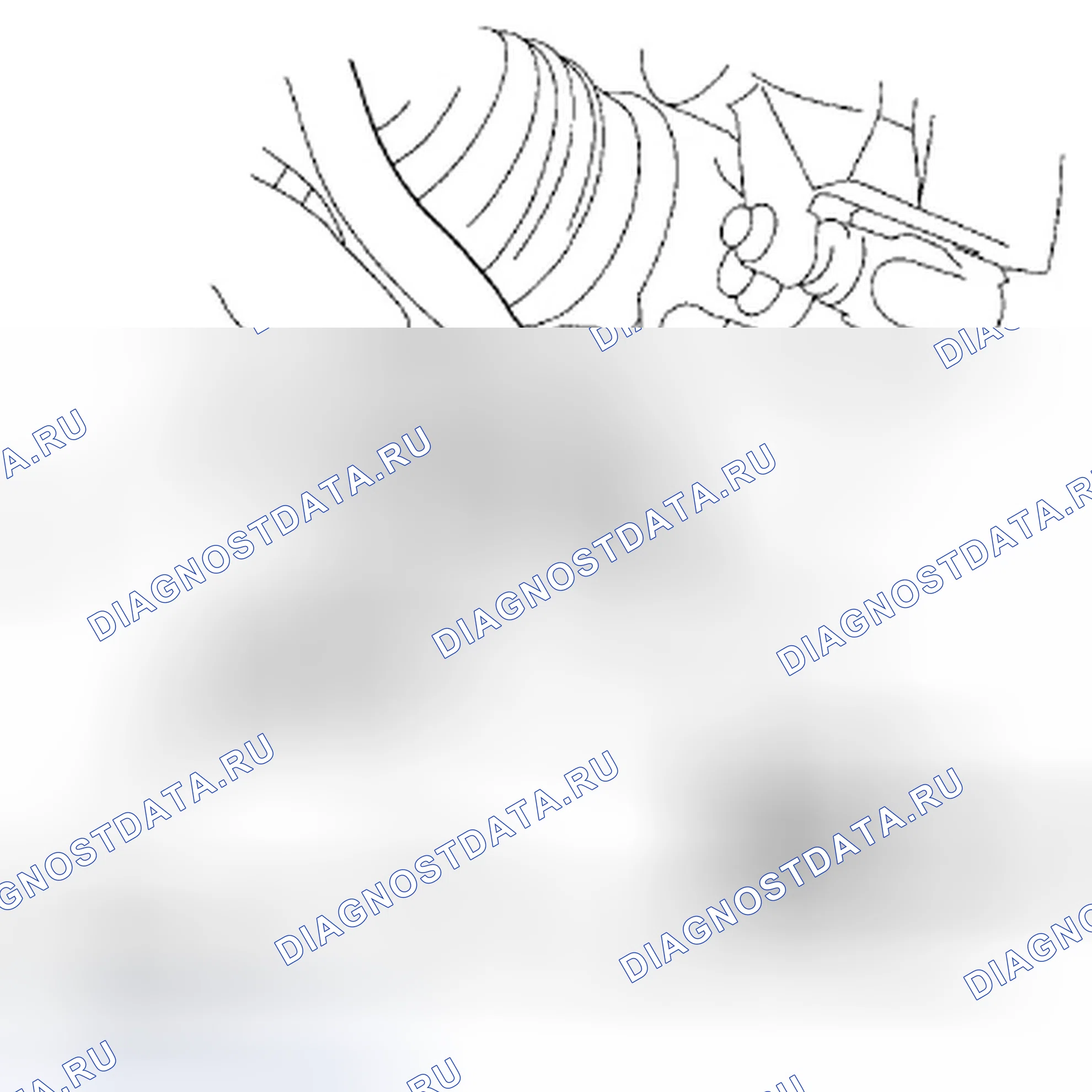 Рис. 423. Honda Civic VIII