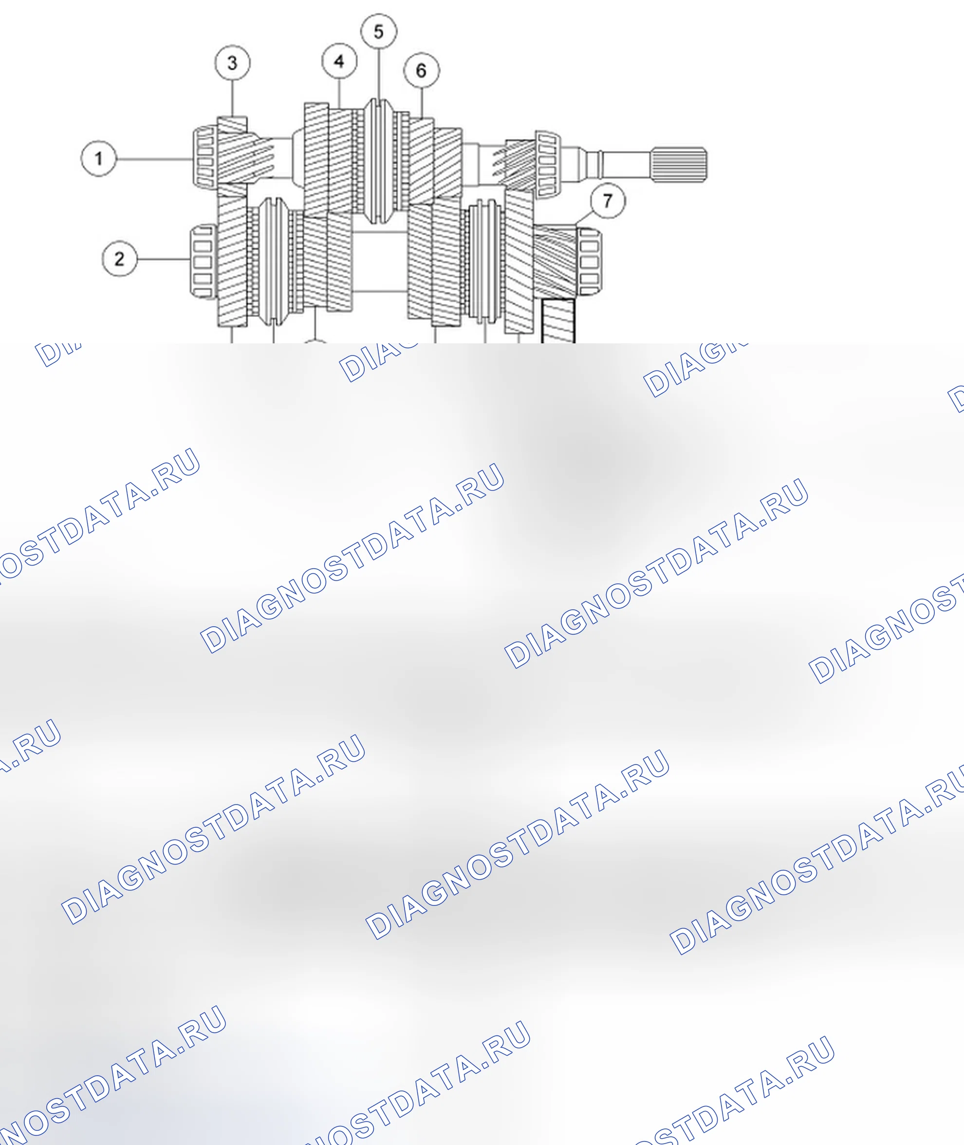 Рис. 5: Входной и выходной вал. Ford Focus II
