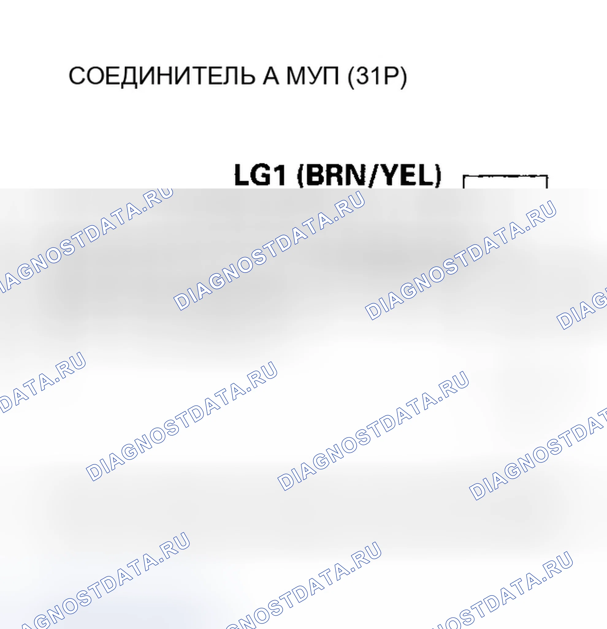 Рис. 520. Honda Accord VII рестайлинг