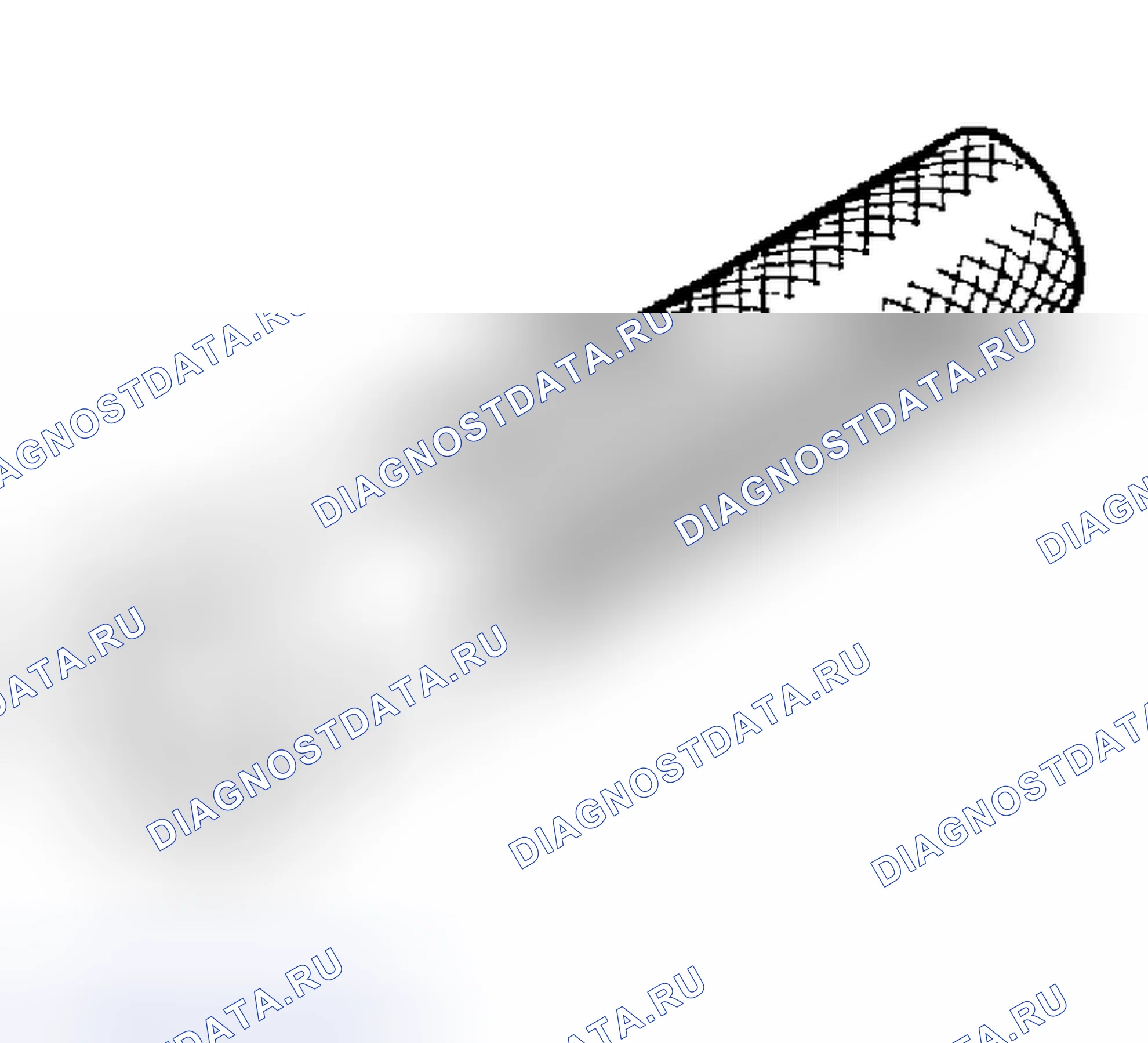 Рис. 10. Haval Chitu I