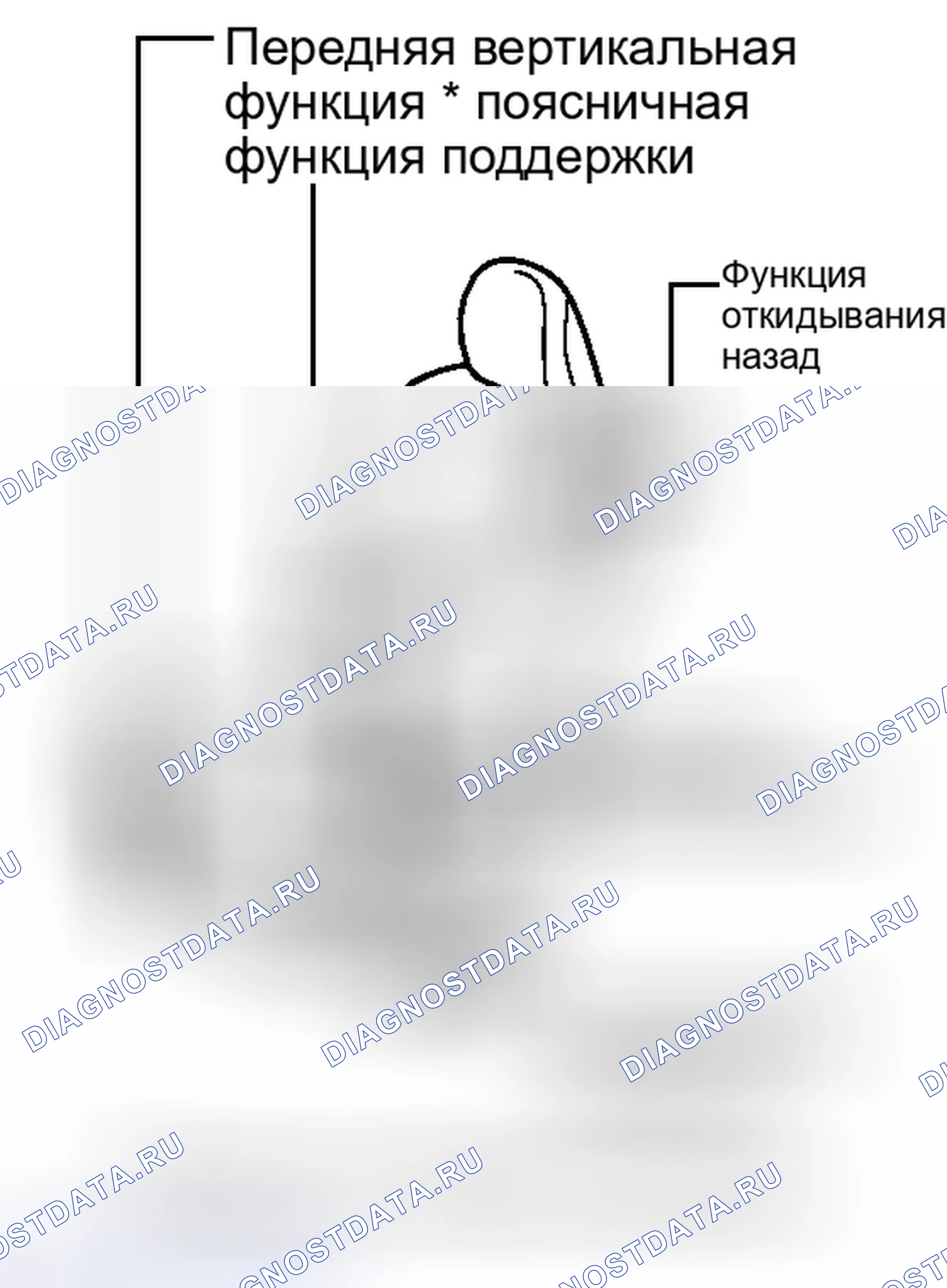 Рис. 299: ПРОВЕРКА РАБОТЫ [08 / 2013 -]. Toyota Venza I рестайлинг