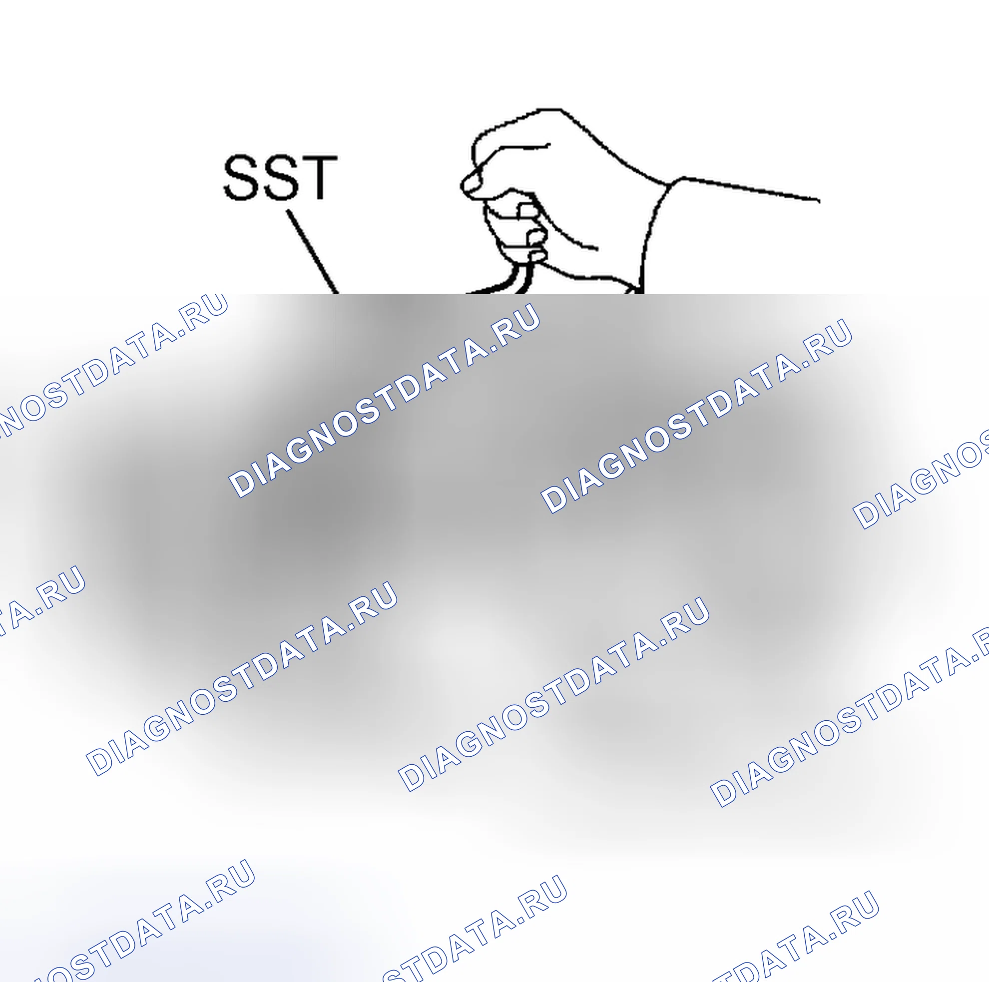 Рис. 335. Scion tC I