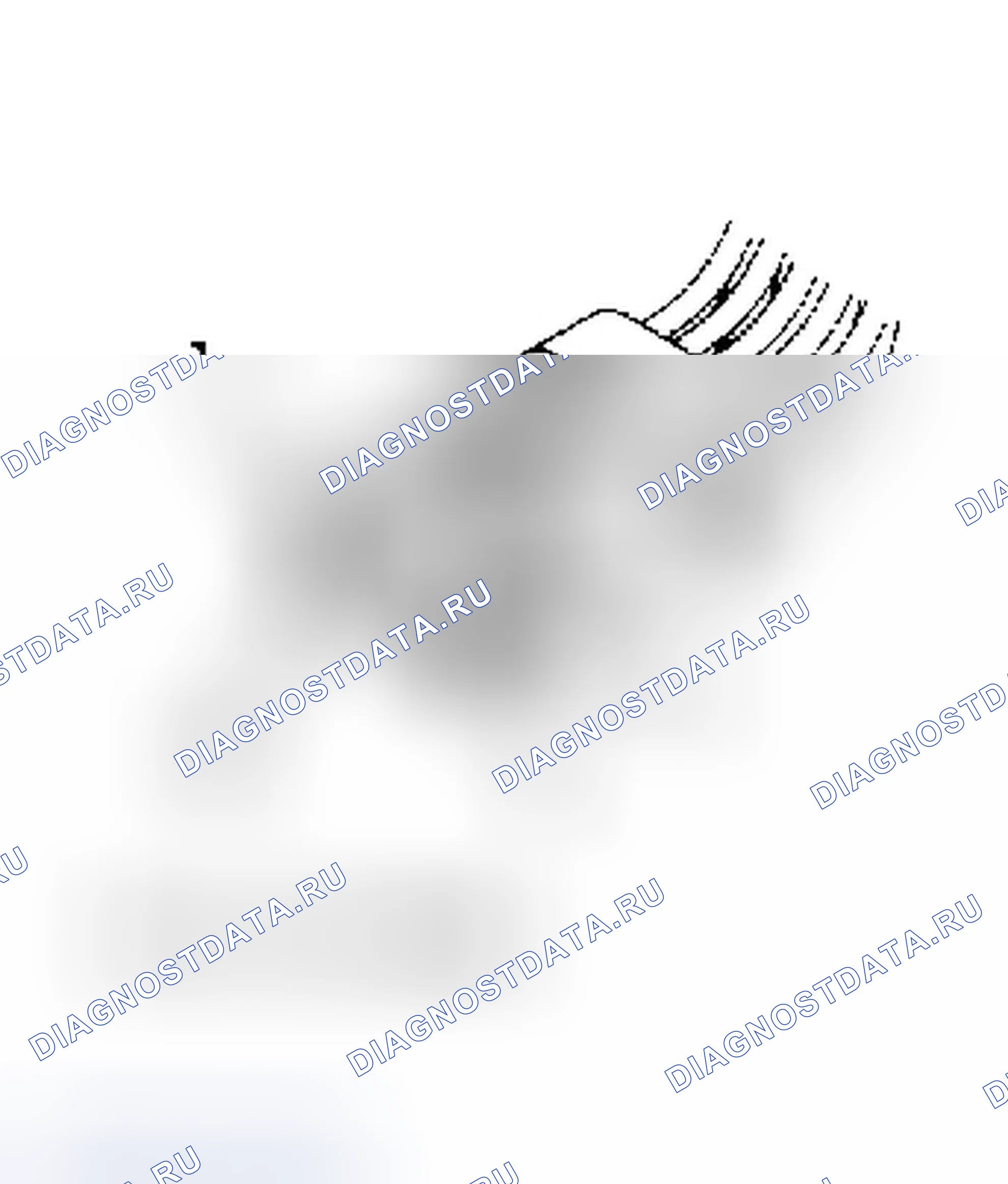 Рис. 9. Jeep Grand Cherokee ZJ