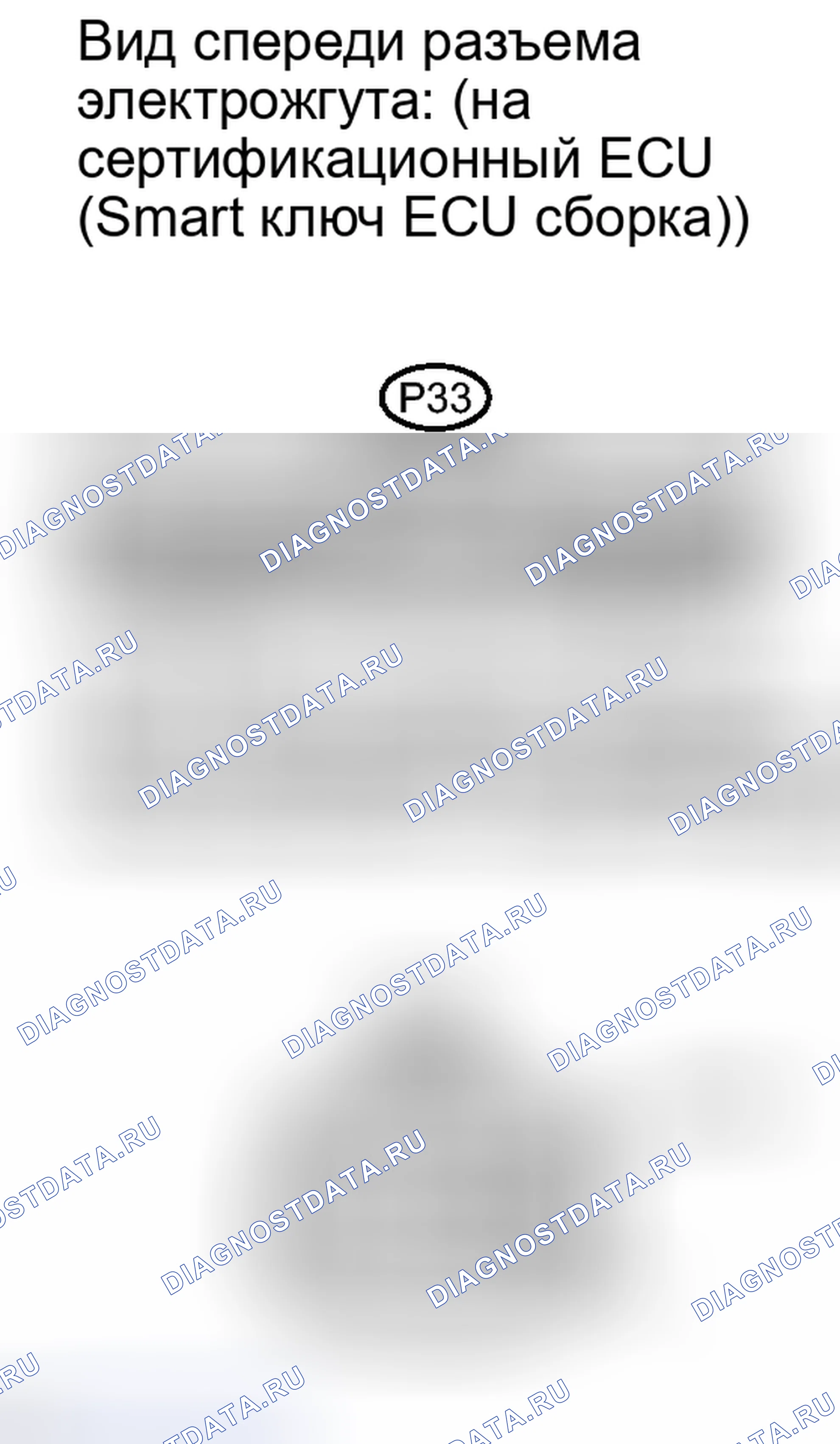 Рис. 235. Lexus IS F I