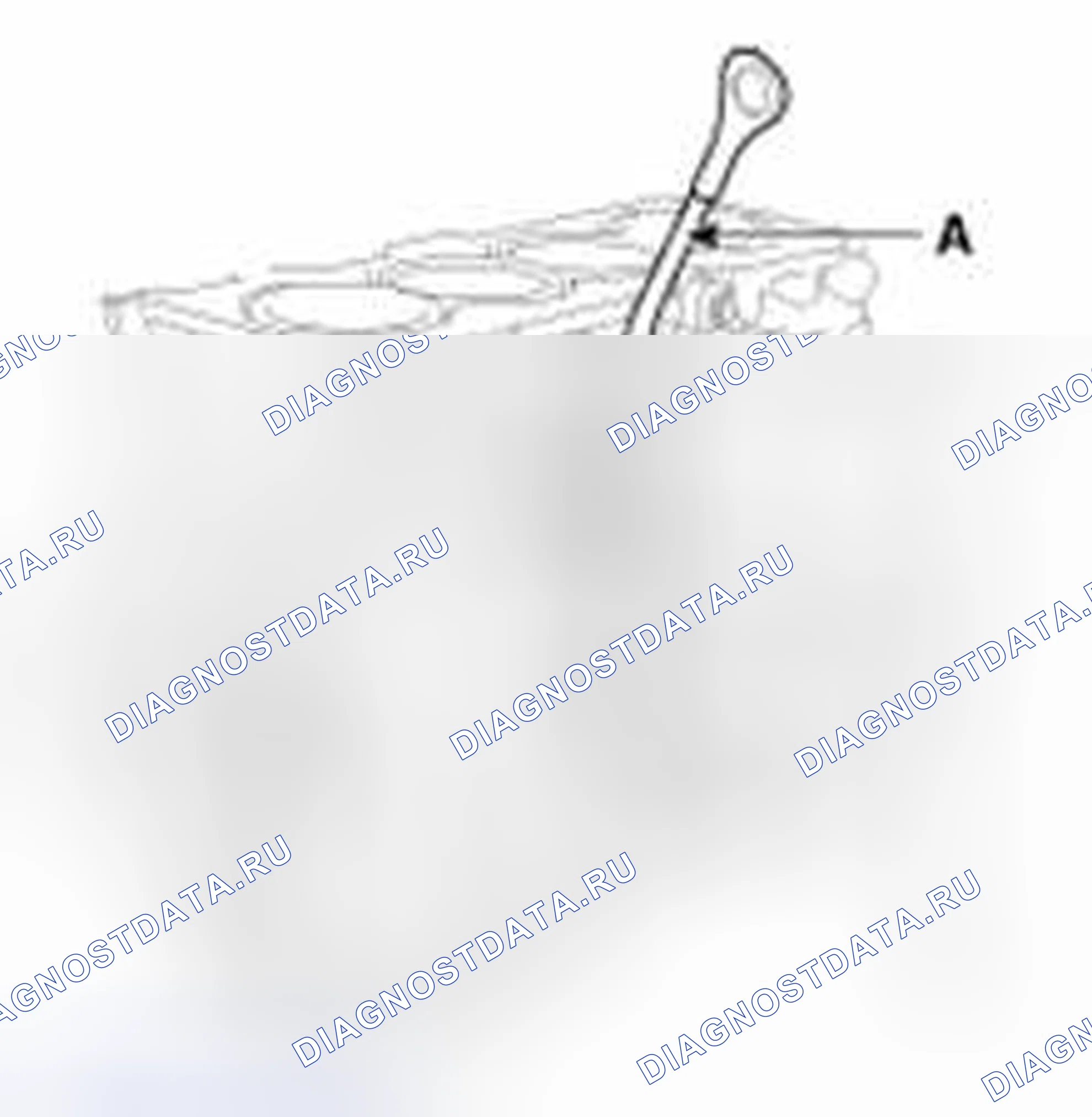 Рис. 158. Geely SC7 I