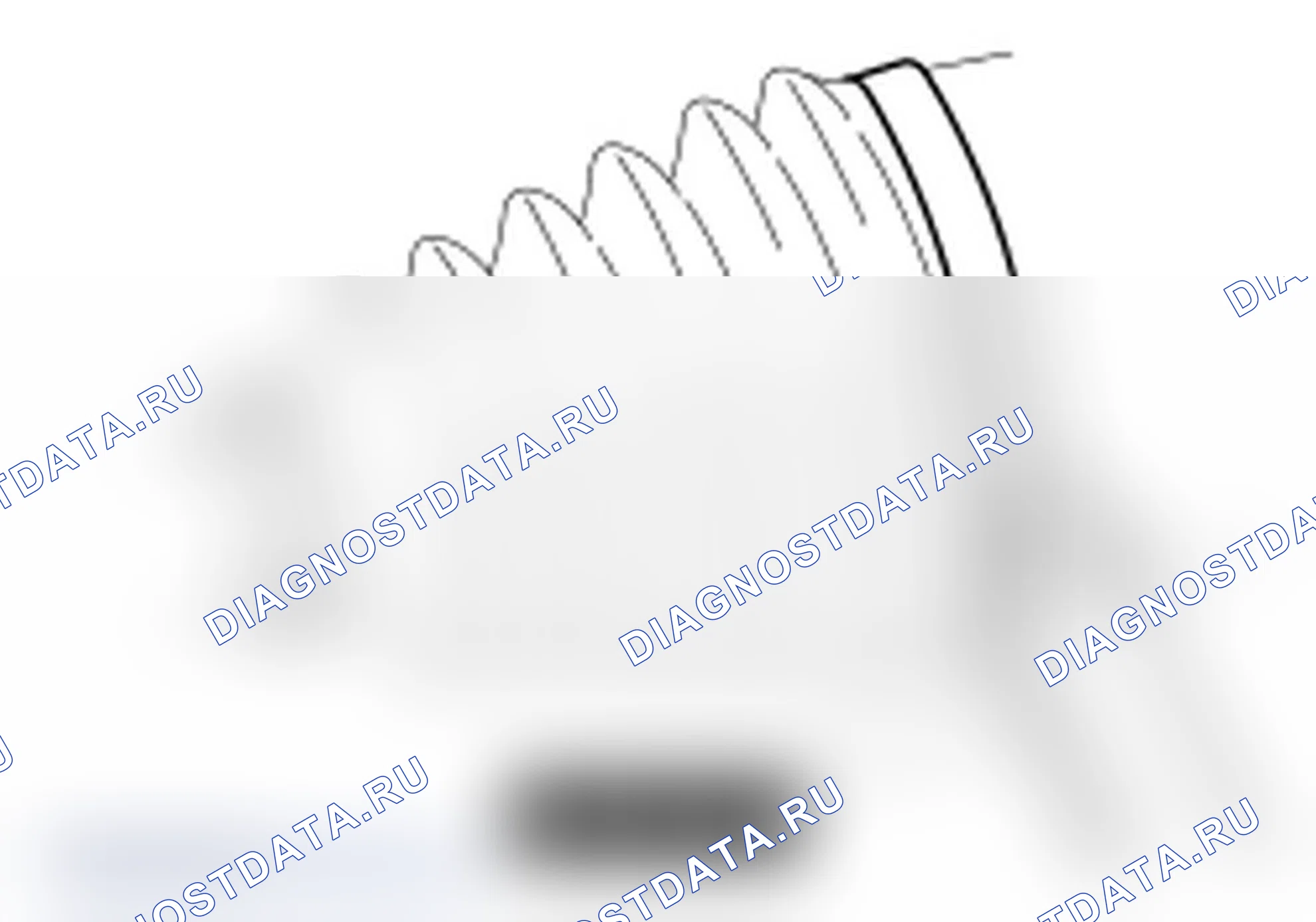 Рис. 3. Ford Transit Connect I рестайлинг