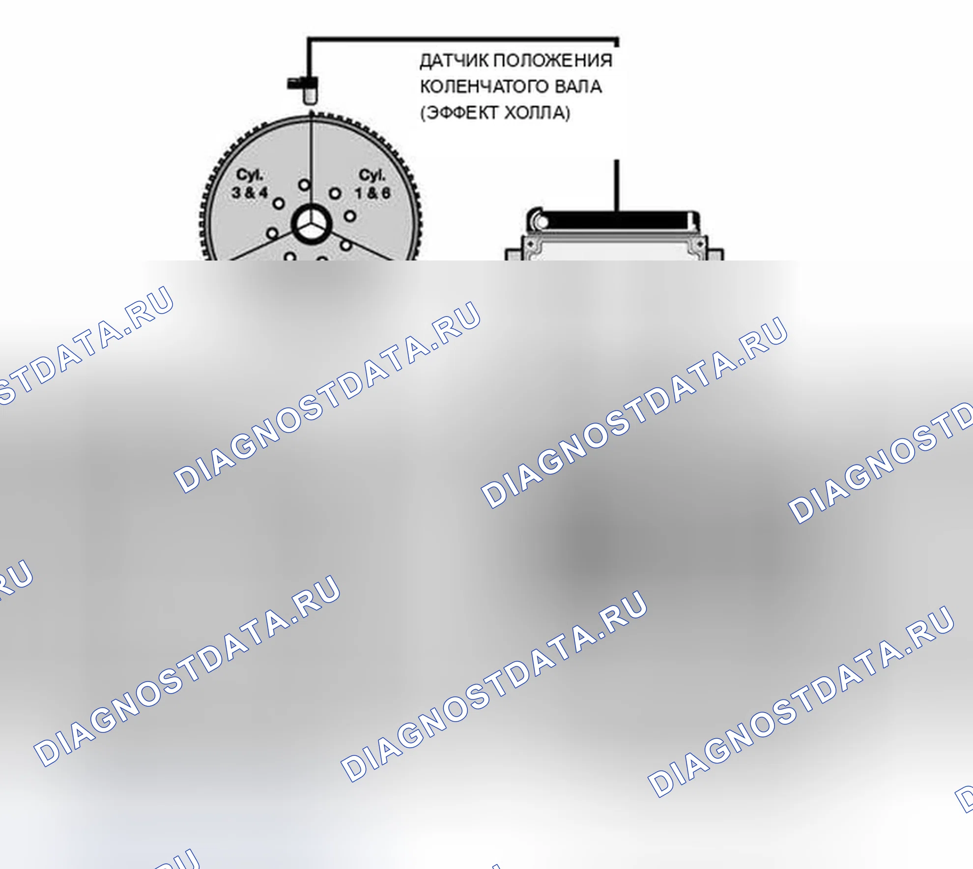 Рис. 537: Схема датчика коленчатого вала. BMW X5 E53