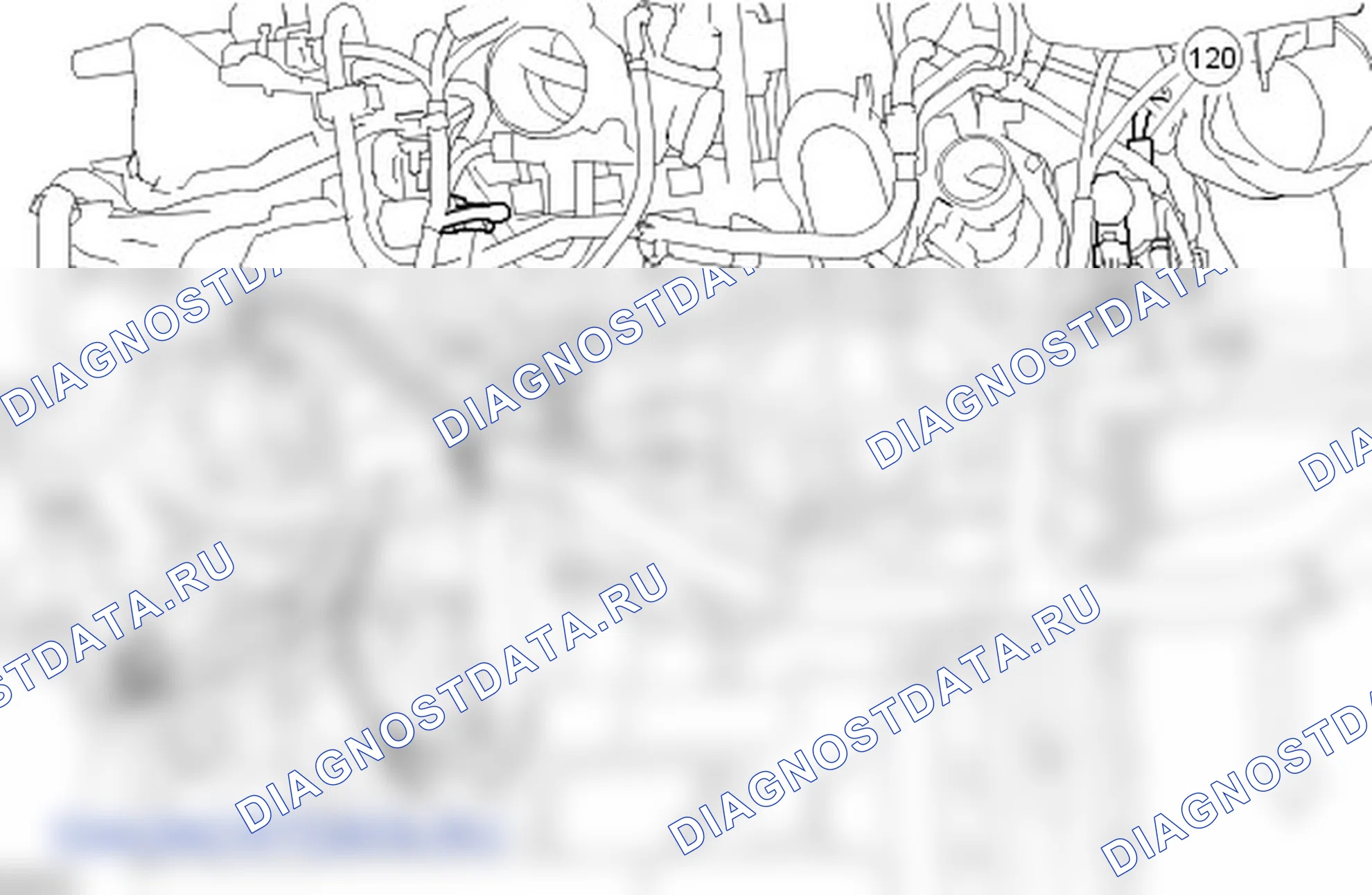 Сборка двигателя. Ford C-MAX I рестайлинг