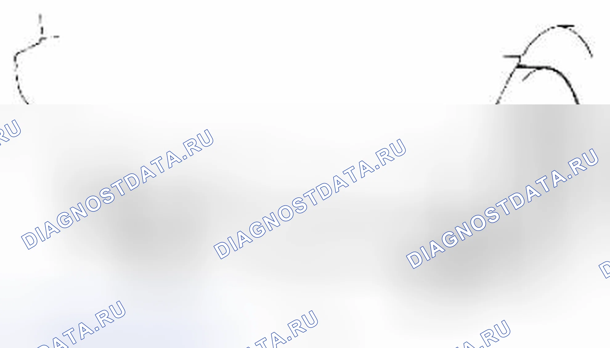 Рис. 60: Подошва. Suzuki Grand Vitara II рестайлинг 2