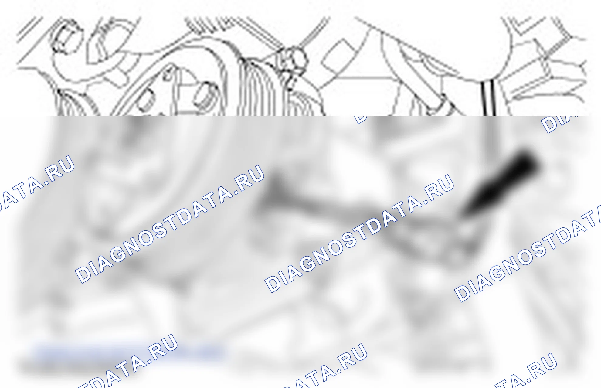генератор — 1.4L Duratorq-TDCi (DV) дизель: описание и работа. Ford Mondeo III рестайлинг