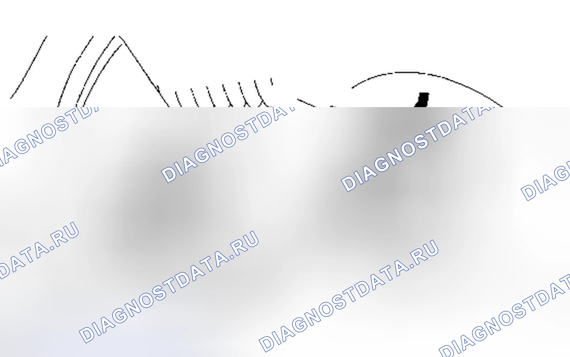 Рис. 57. Toyota Tacoma II рестайлинг