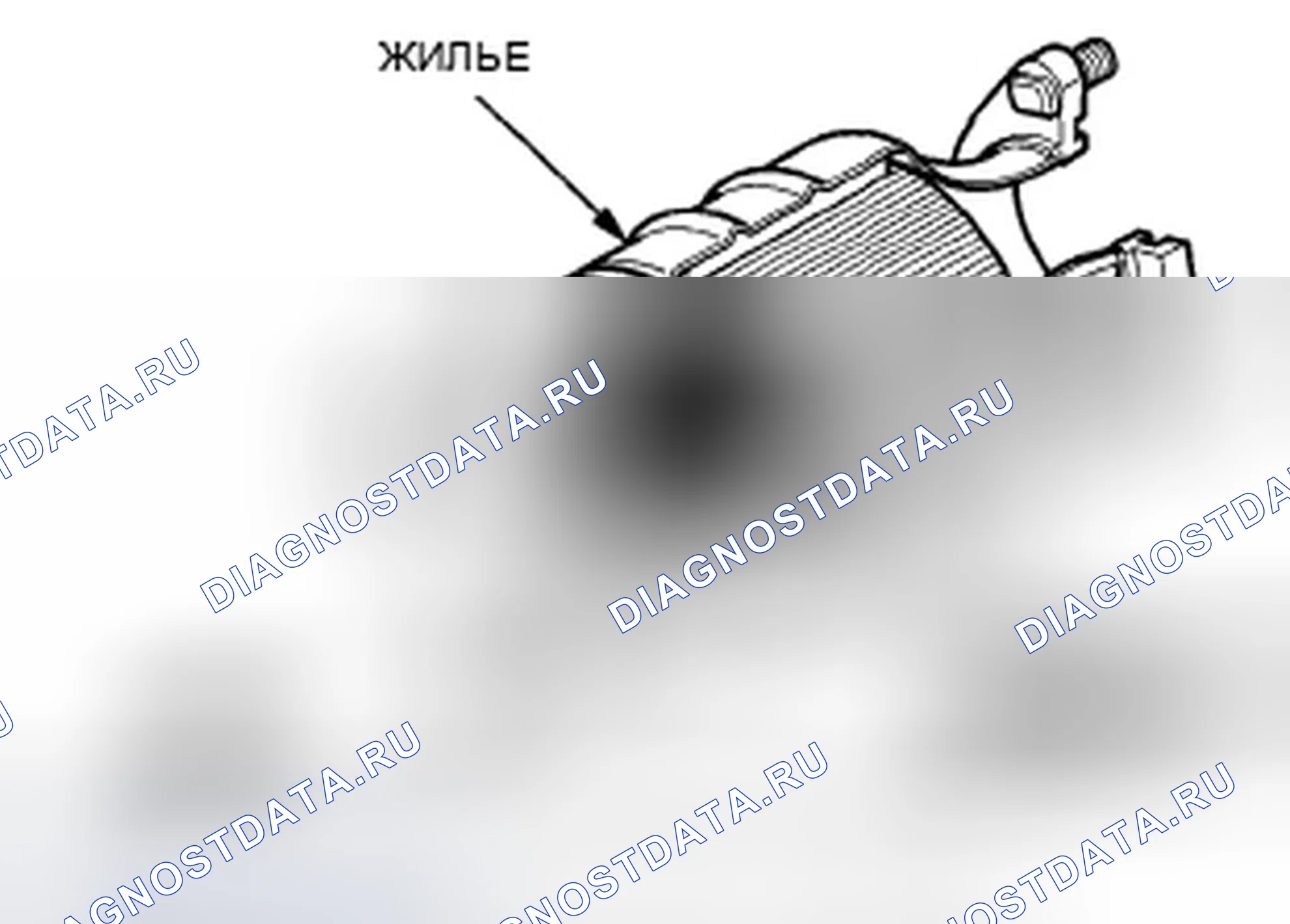 Рис. 462. Honda Accord VIII