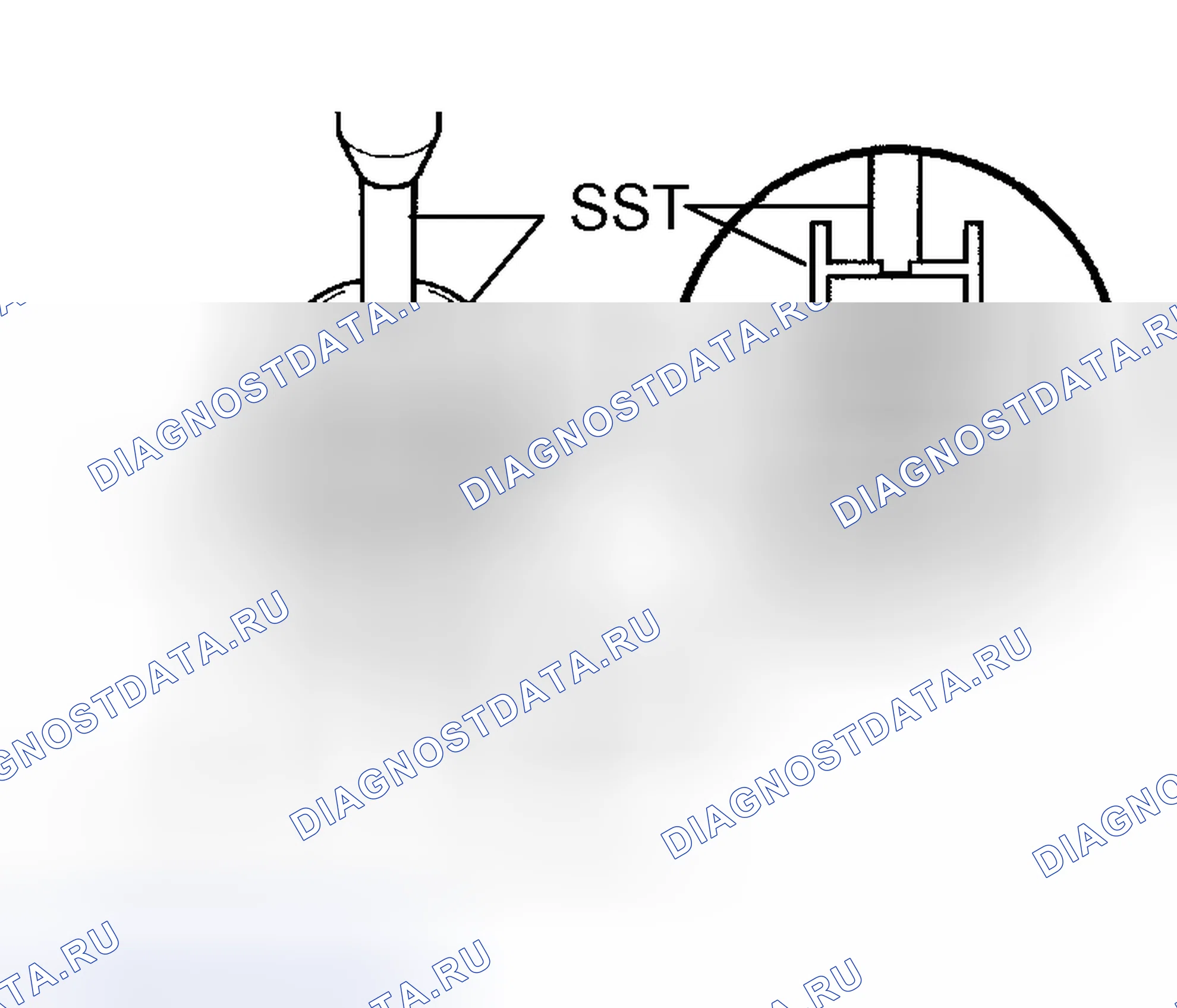 Рис. 205. Toyota Tundra I рестайлинг