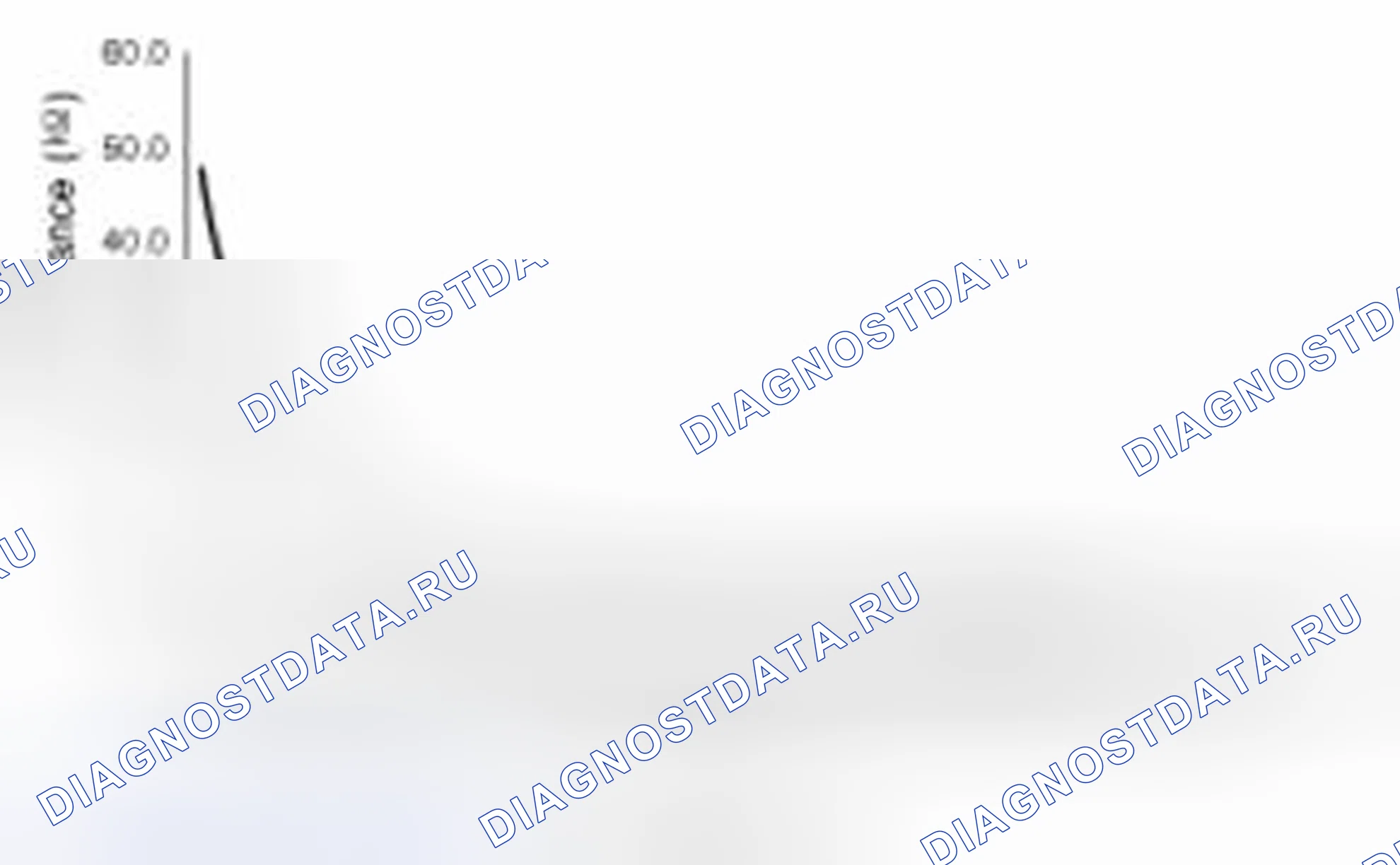 Рис. 1. Haval Beast (Shenshou) I