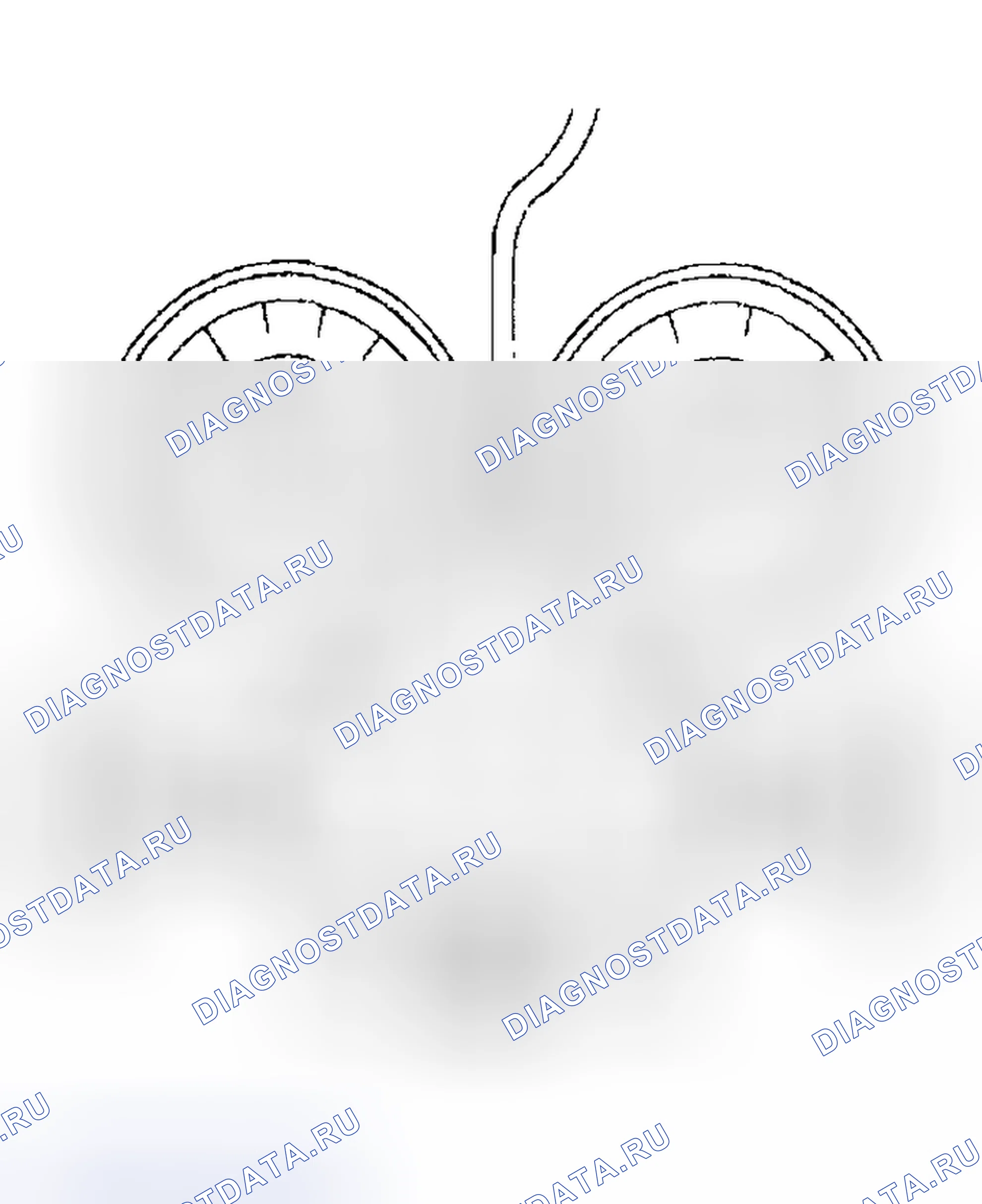 Рис. 21. Subaru Impreza GD/GC/GG